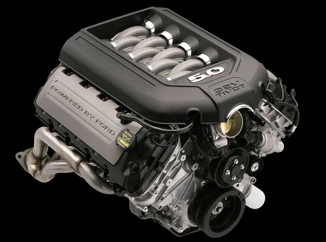 S650 Mustang This Just Got Real! coy1