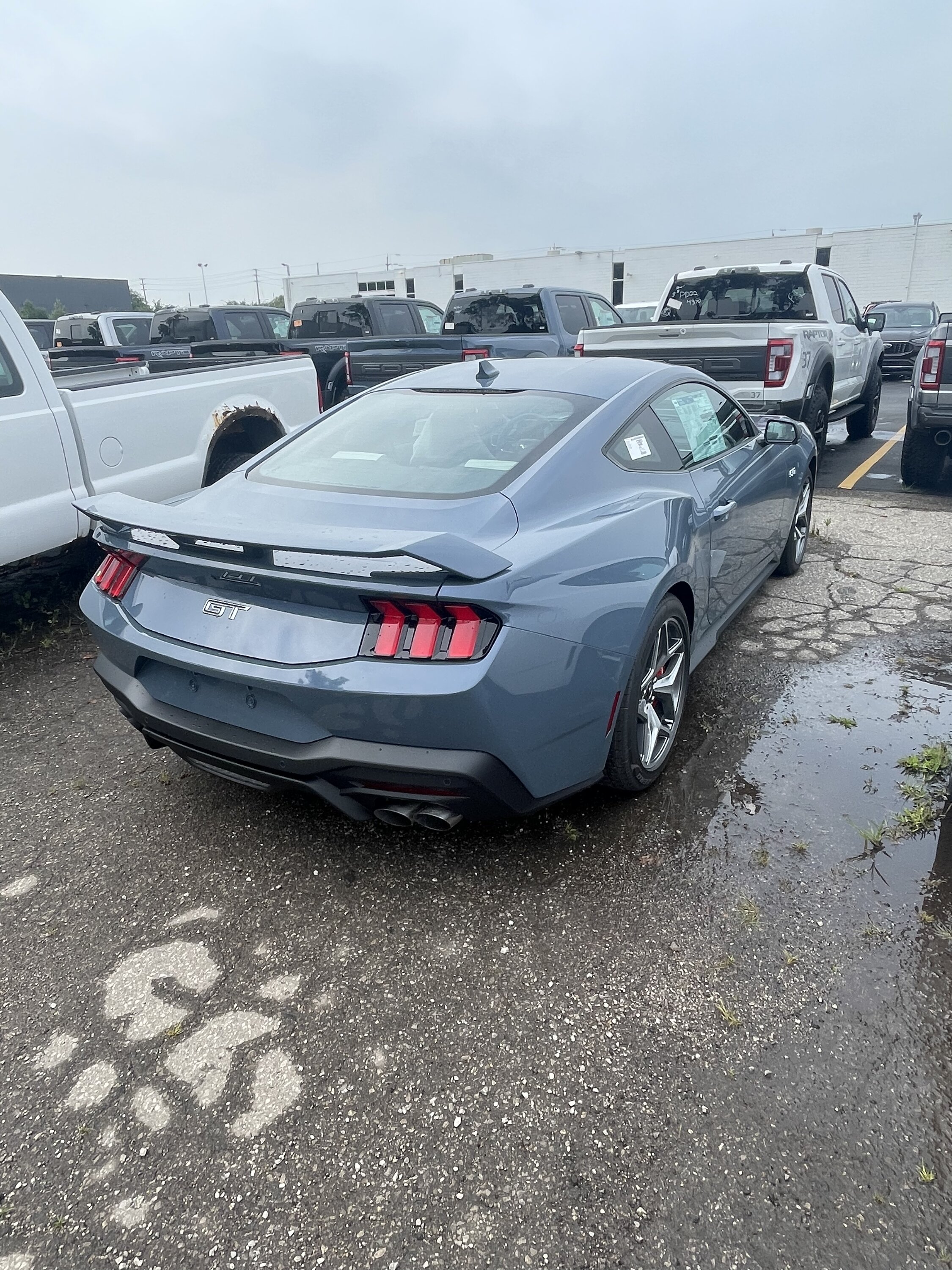 S650 Mustang First 2024 Mustang GT Canadian Order Delivered! D00B0D04-513A-48F0-A7D5-20145032512E