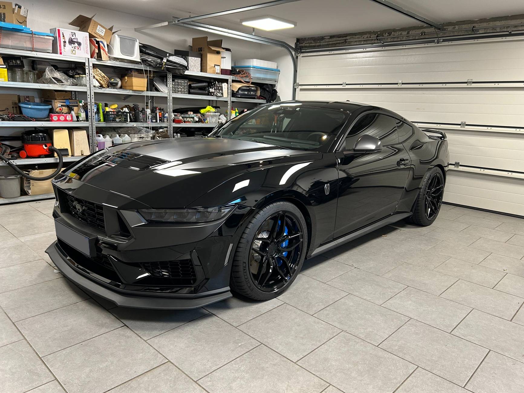 S650 Mustang From This to That S650 (Photos Edition) Dark-Horse