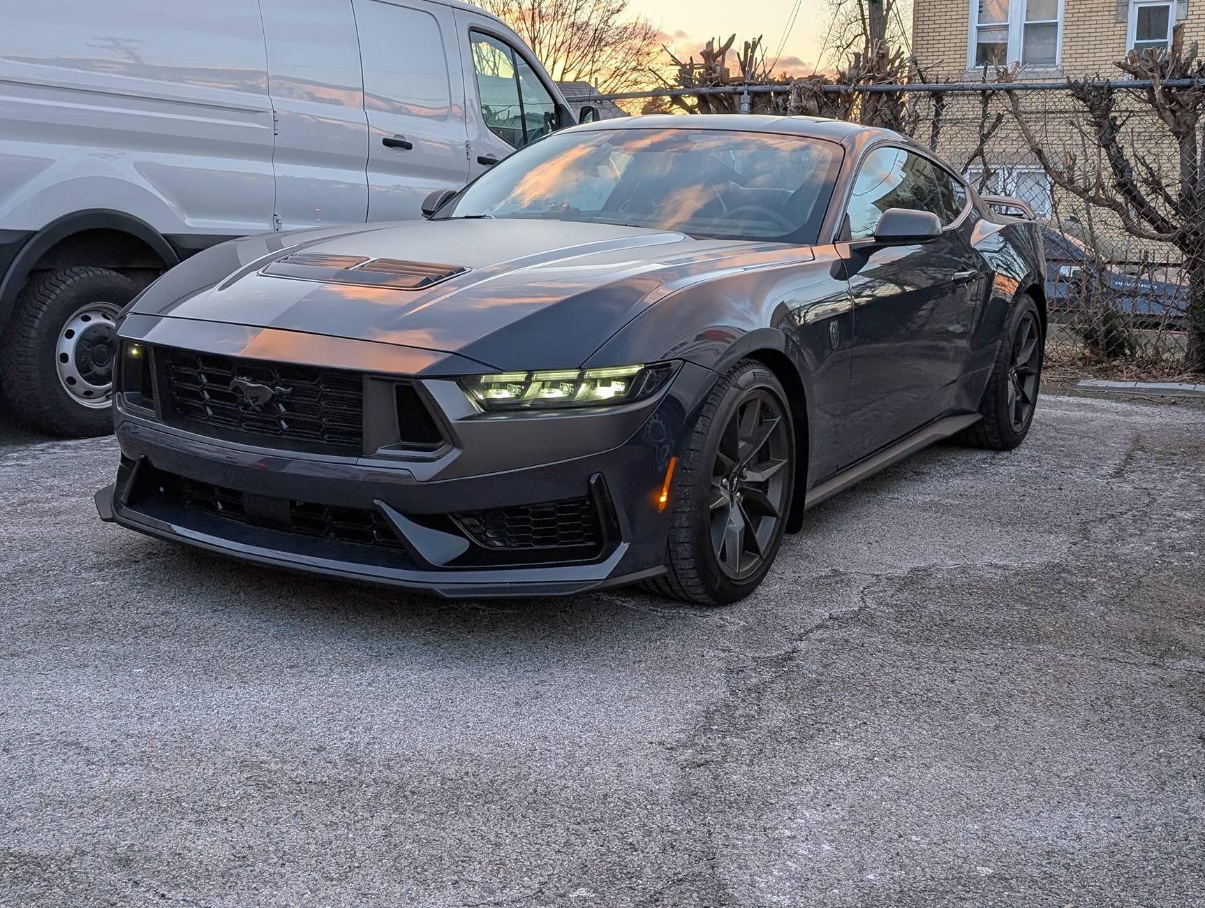 S650 Mustang Cool Daily Random S650 Mustang Pics -- Post Yours! 📸 dark horse