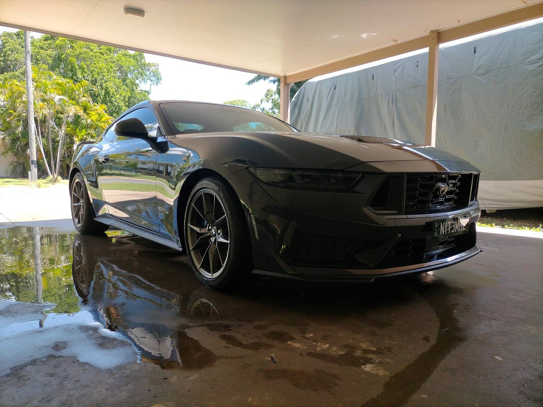 S650 Mustang Aussie S650 Paint protection and detailing thread dh1