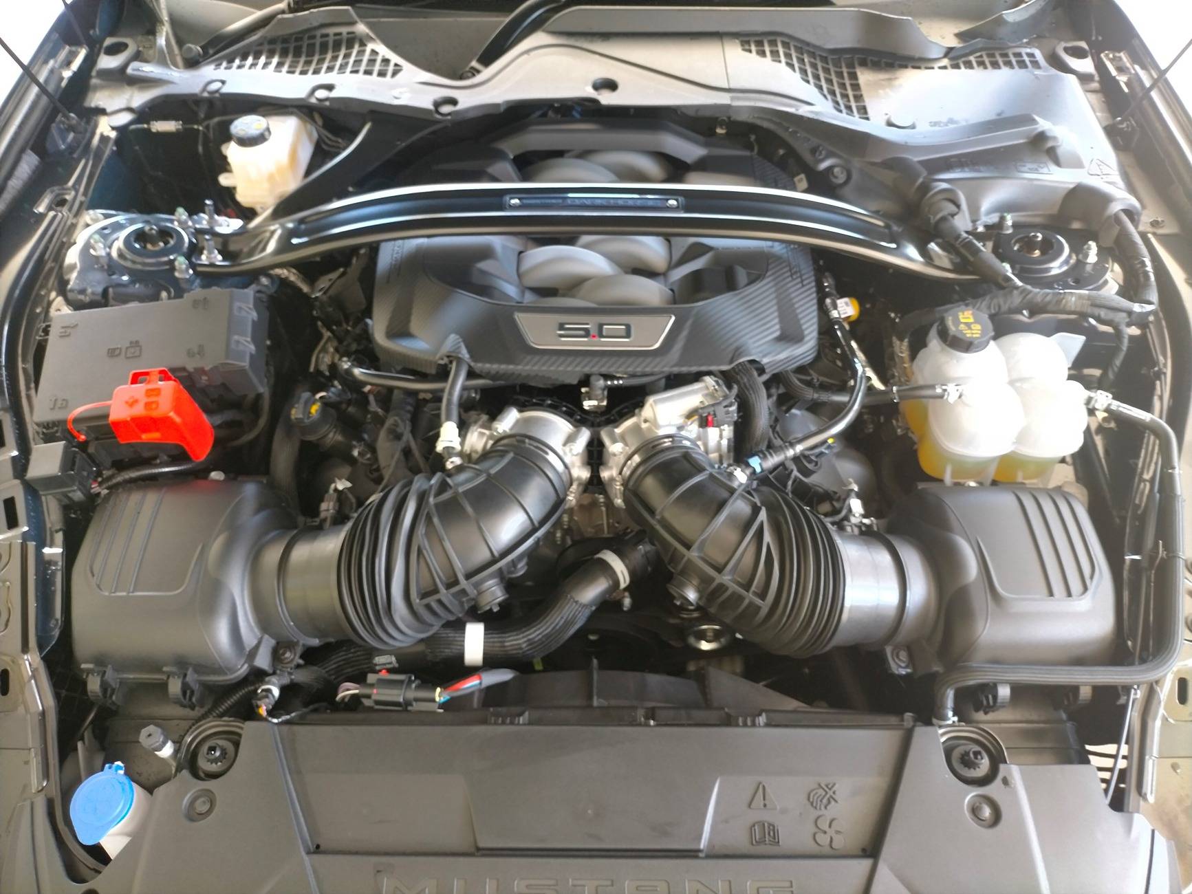 S650 Mustang Aussie S650 Paint protection and detailing thread dh3