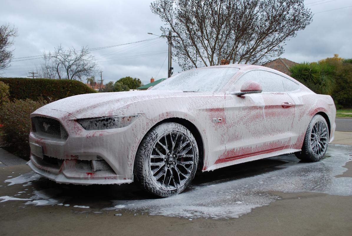 S650 Mustang Pressure Washer Recommendations DSC-0294