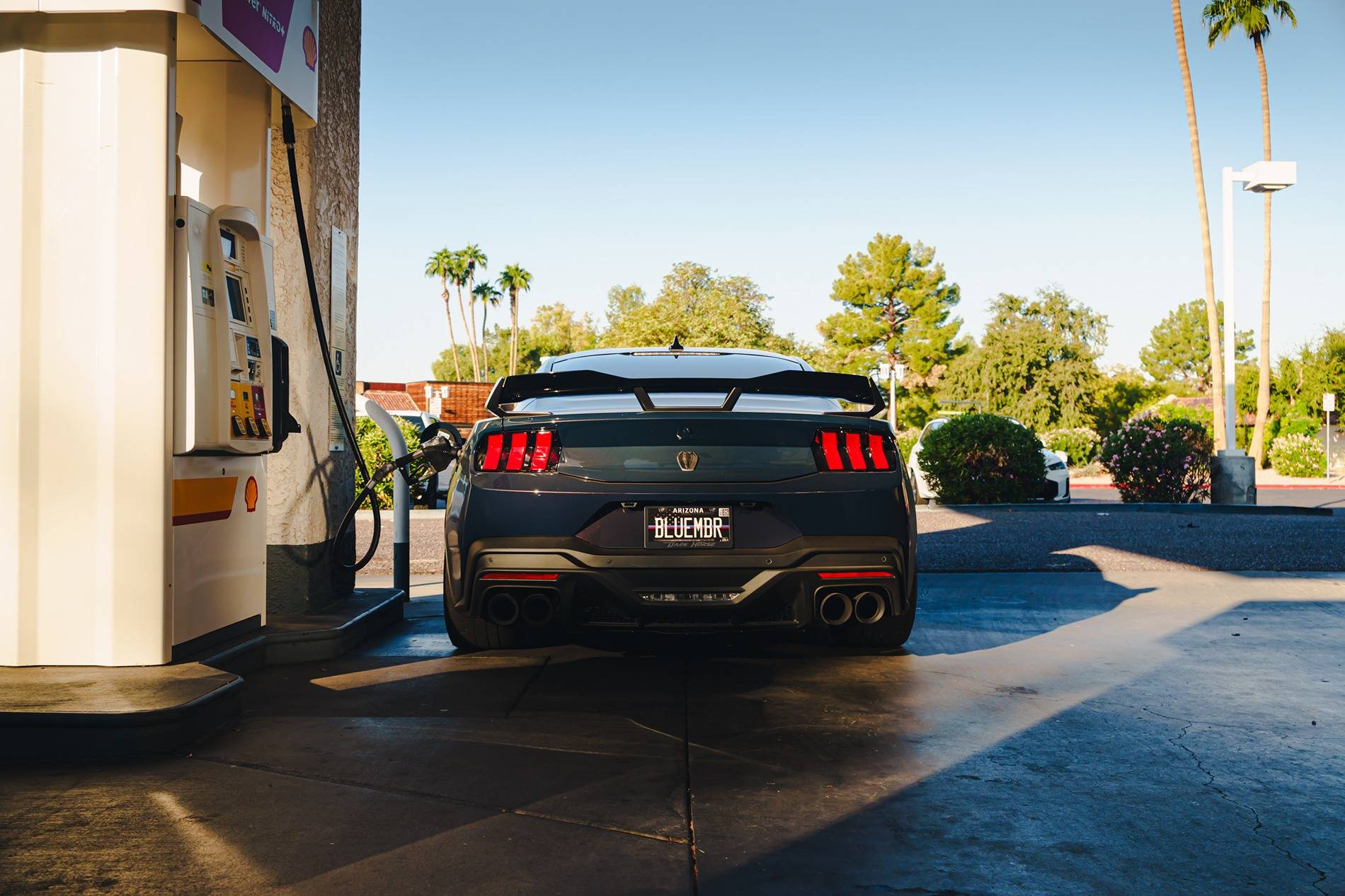 S650 Mustang Cool Daily Random S650 Mustang Pics -- Post Yours! 📸 DSC00402