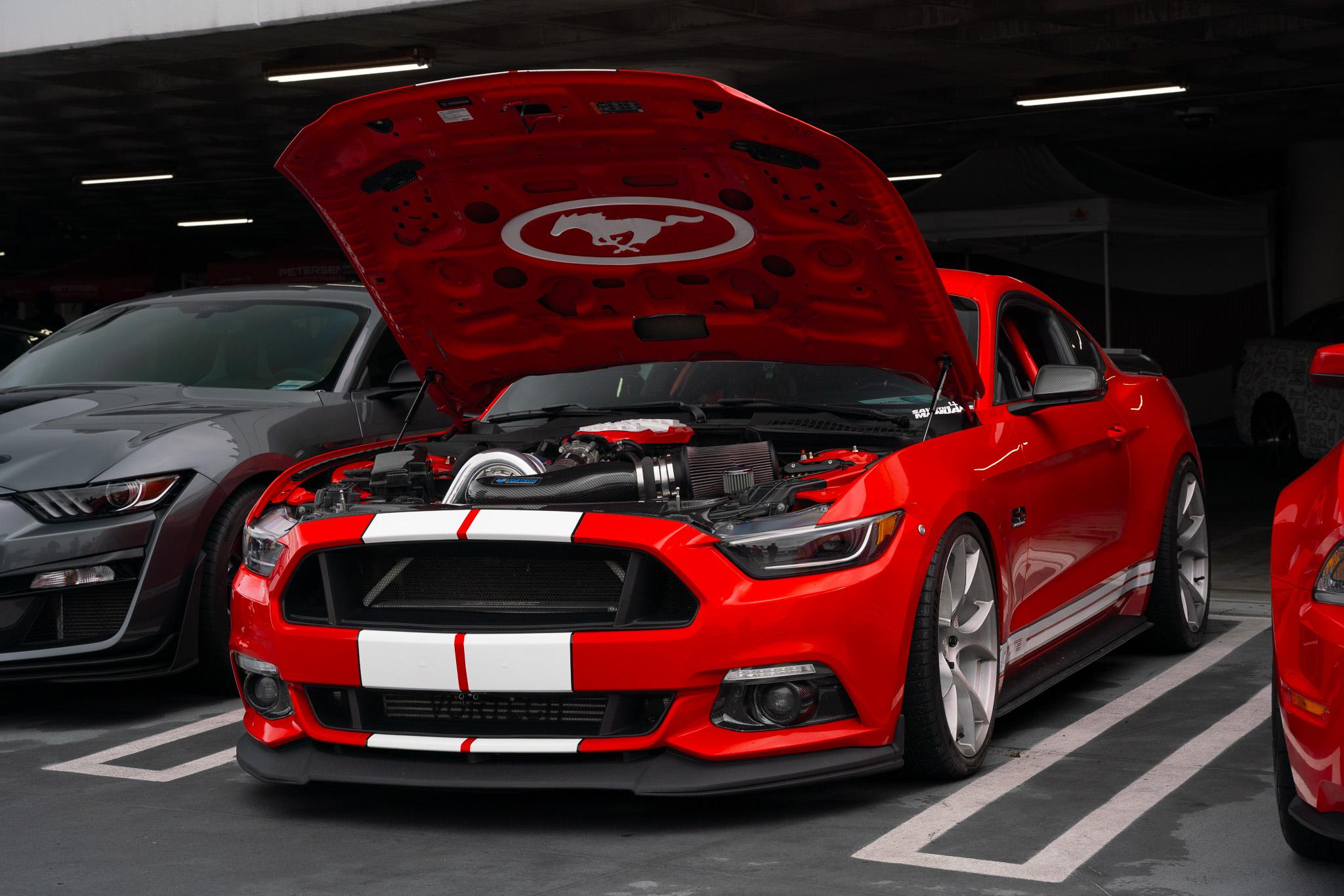 S650 Mustang 2024 Petersen Museum Shelby Cruise in DSC07714