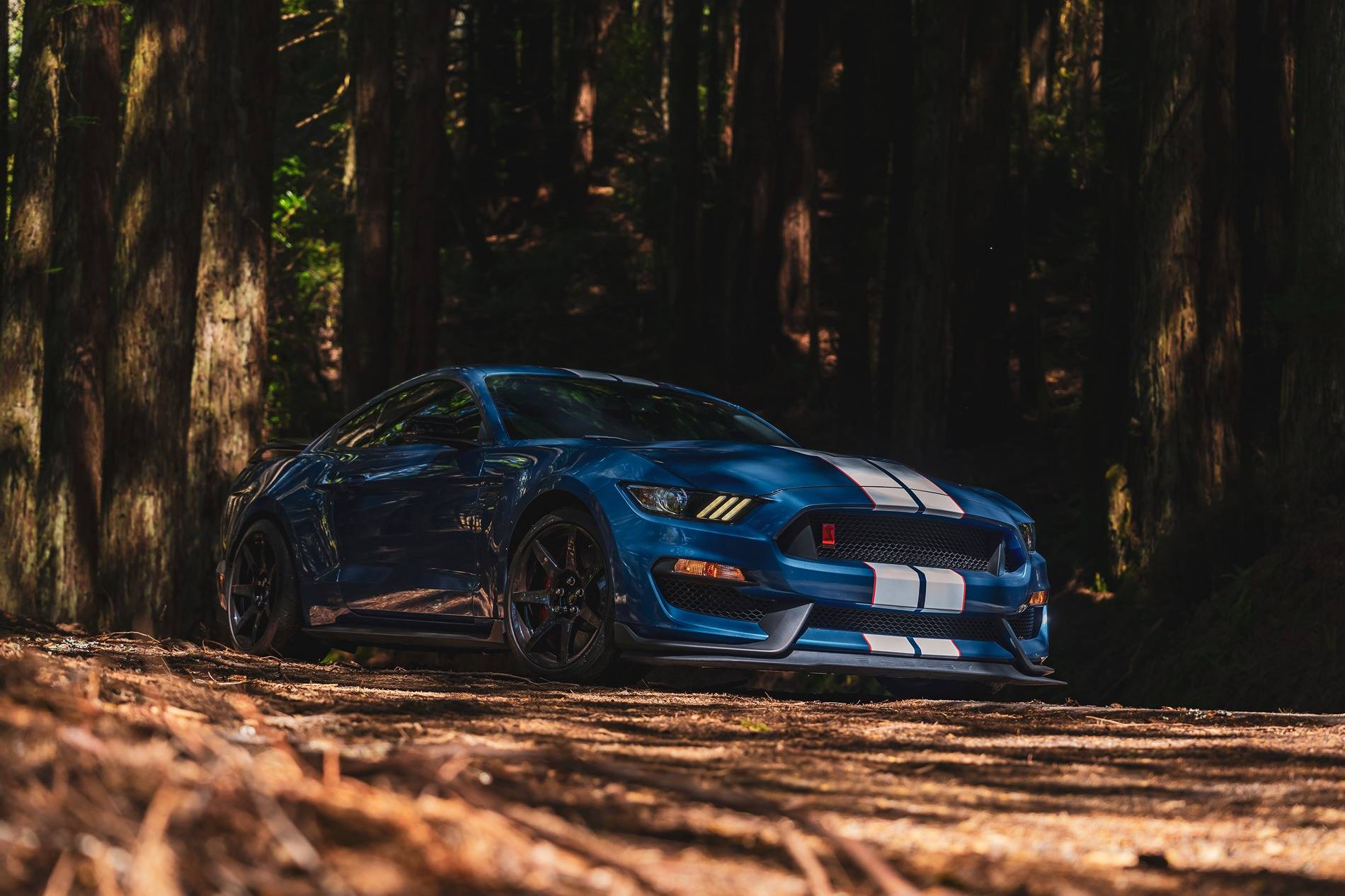 S650 Mustang Hot take the s650 is better looking than the s550 DSC08019 copy