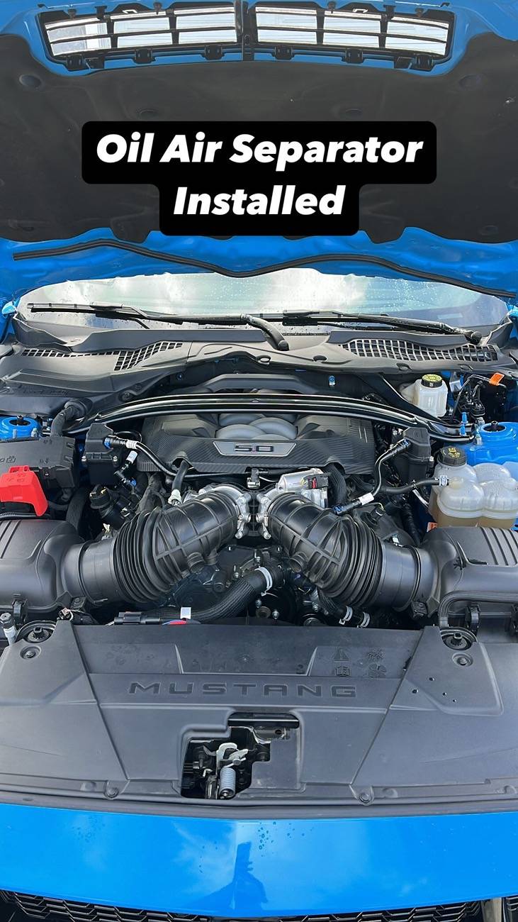 S650 Mustang What did you do to your S650 Mustang today?? 🙋🏻‍♂️ E4543822-363A-4C06-B5DC-DC82EE8171A4.JPG