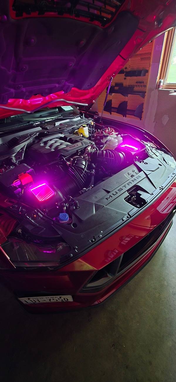 S650 Mustang Abilor & Maude - Build & Maintenance Journal ead1f692-e2d7-4da6-8486-e9c700aaa421-1_all_26515