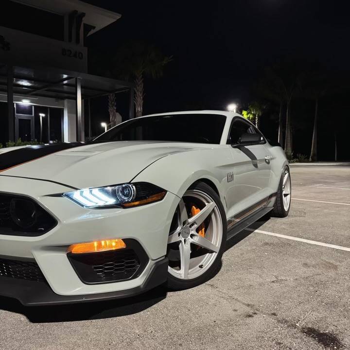 S650 Mustang Got denied for a GTD. What's the next regular high performance Mustang coming down the pike? EE7D1D4C-D974-4EB9-8C29-3FF0A88D6AAE