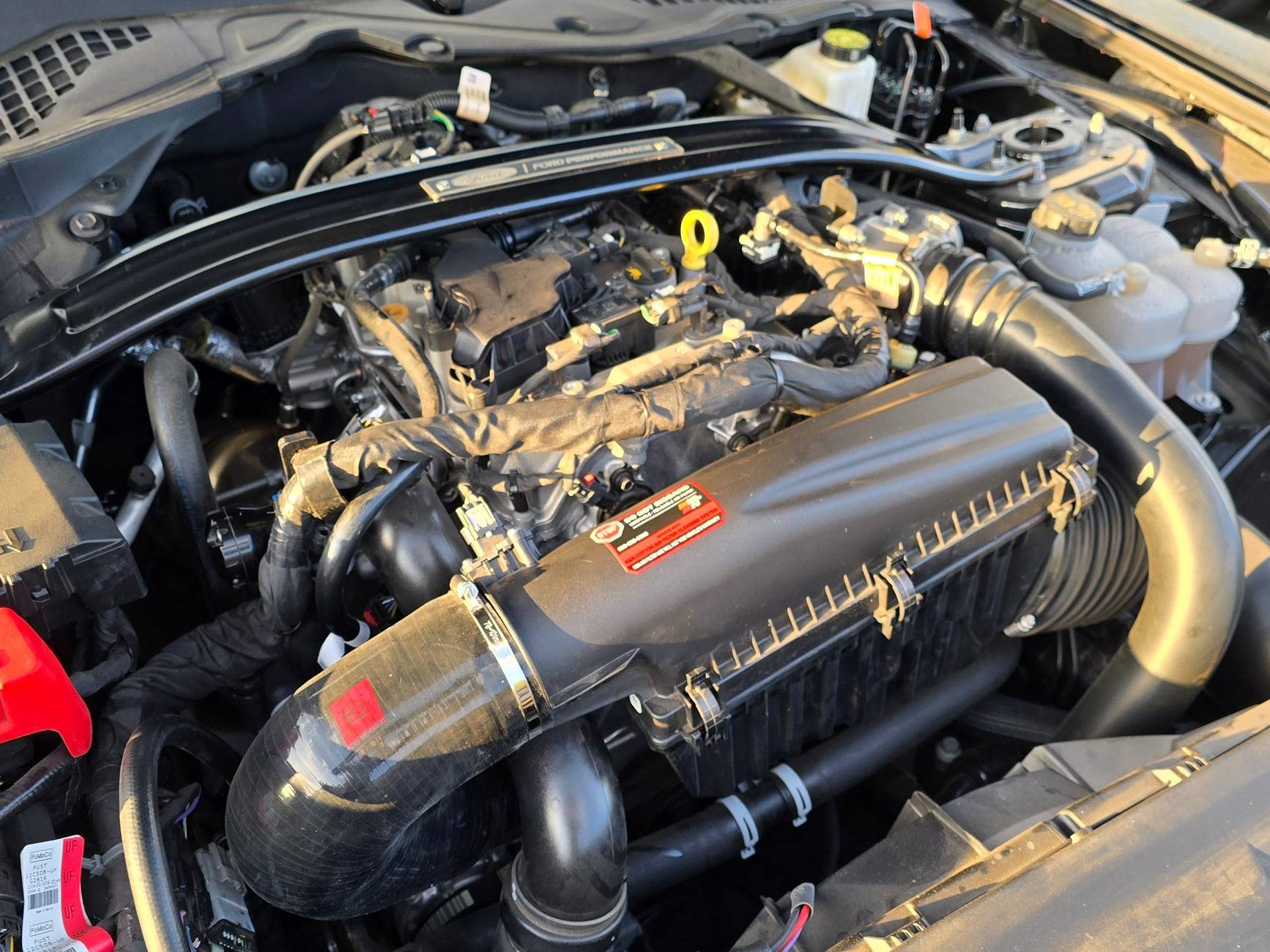 S650 Mustang Viking's Black EcoBeast Build EuroCompulsion2