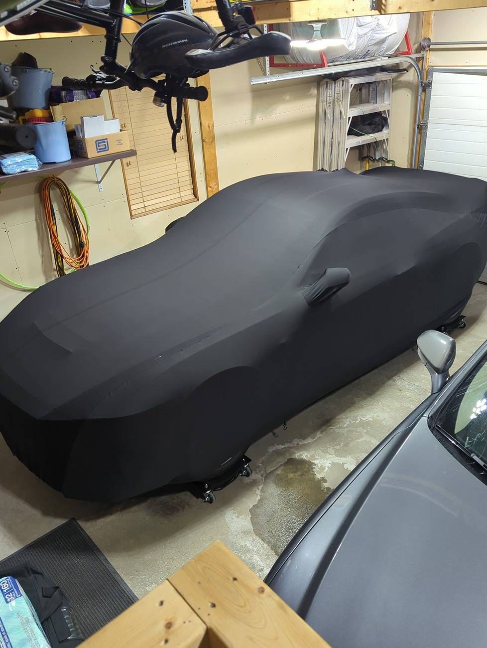 S650 Mustang Shhhhh. She's sleeping. Mustang car cover ff514b5b-38b5-42e0-9343-1a04e18b6c6b
