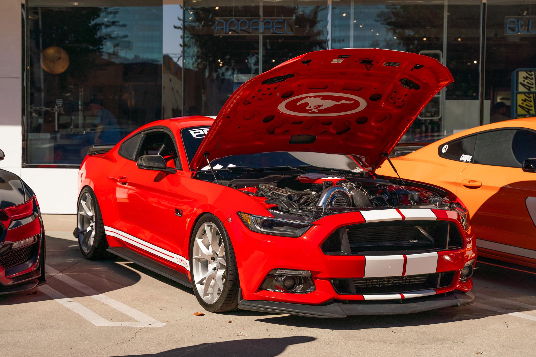 Galpin show 10.jpg