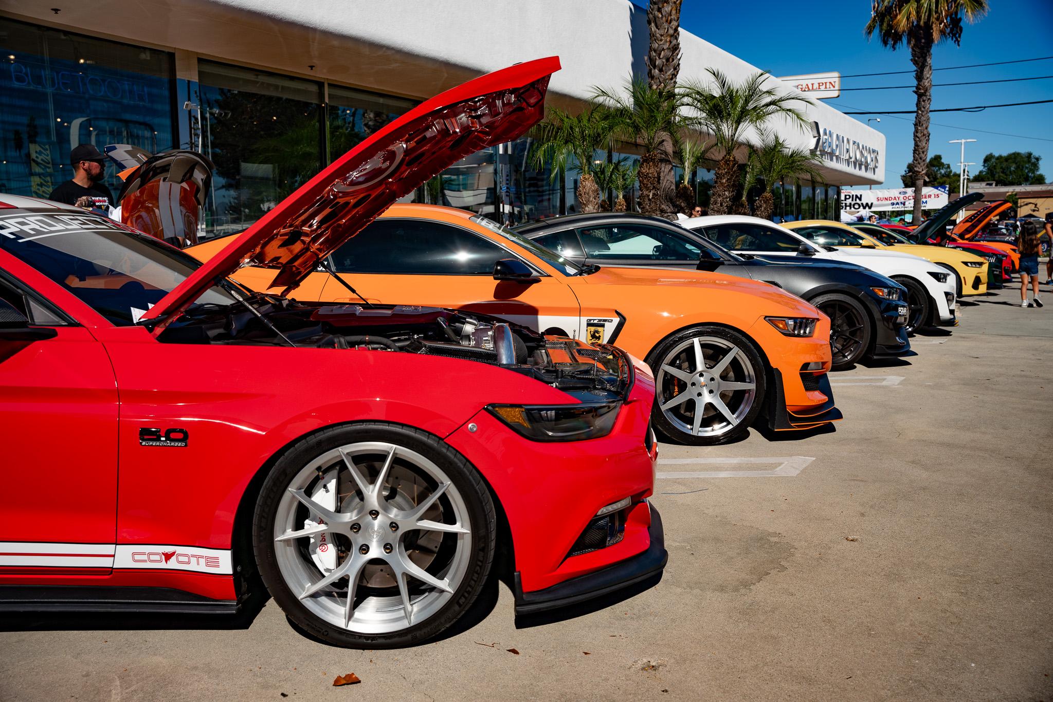 Galpin show 8.jpg
