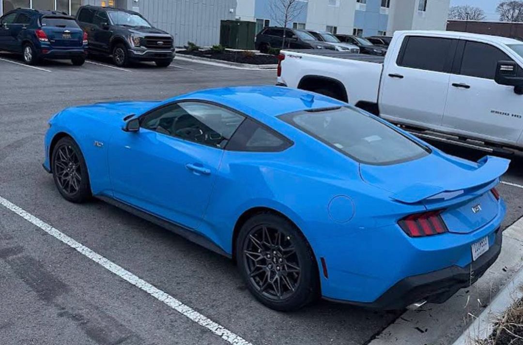 S650 Mustang Body Color Painted Spoiler Wing 👍 or 👎 ?? Grabber Blue S650 Mustang GT Spotted 1