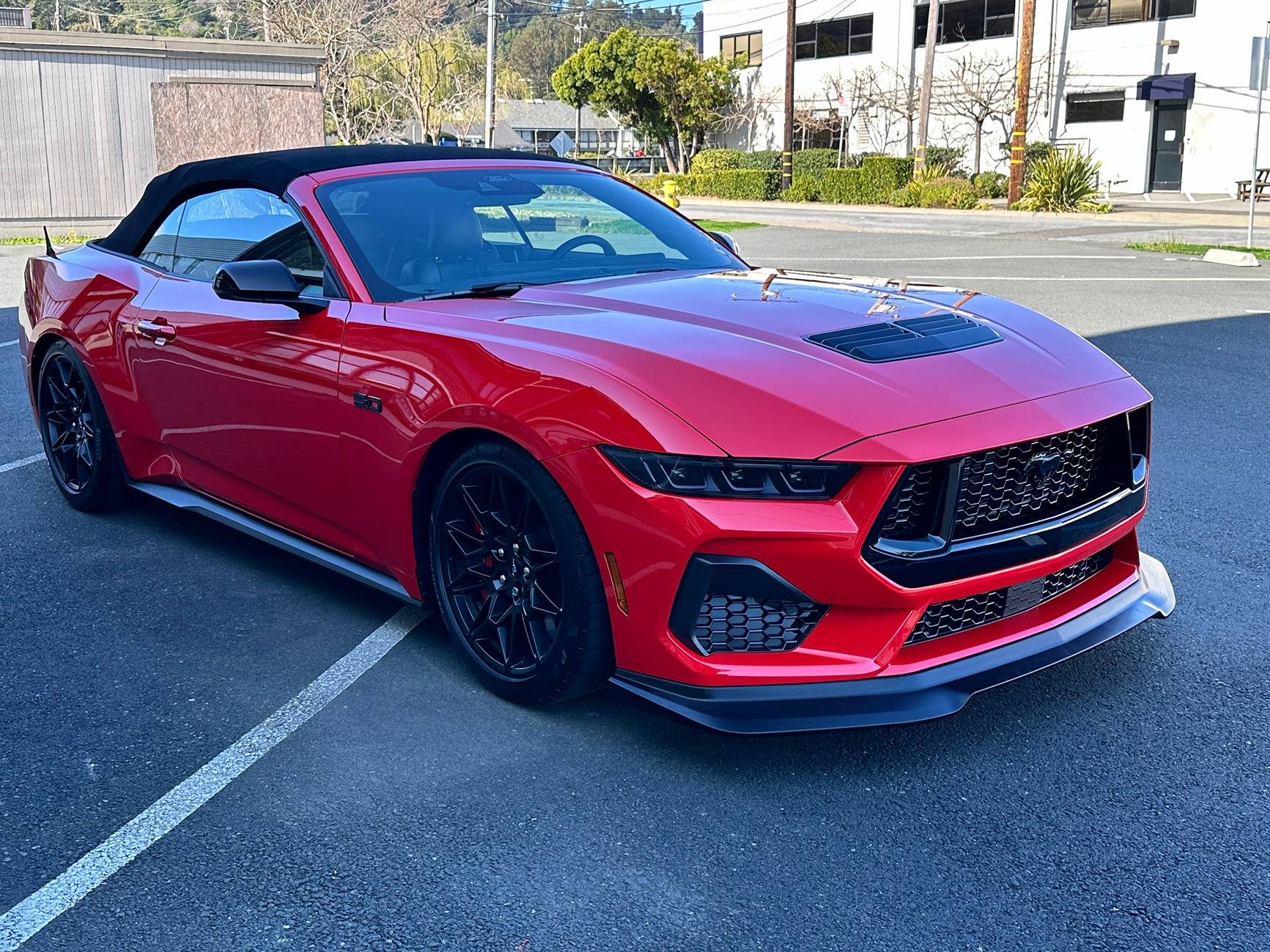 S650 Mustang Pics of S650 Mustang convertible with top up? GT 19