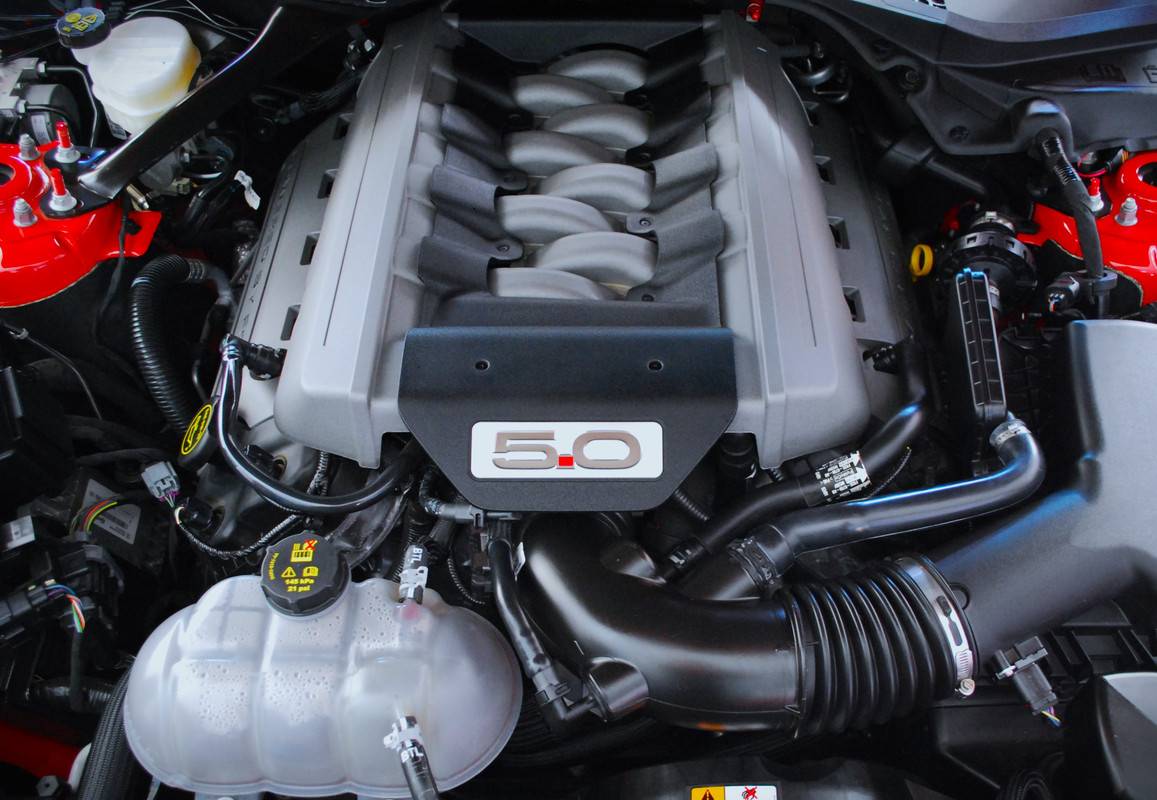 S650 Mustang This Just Got Real! gt50102