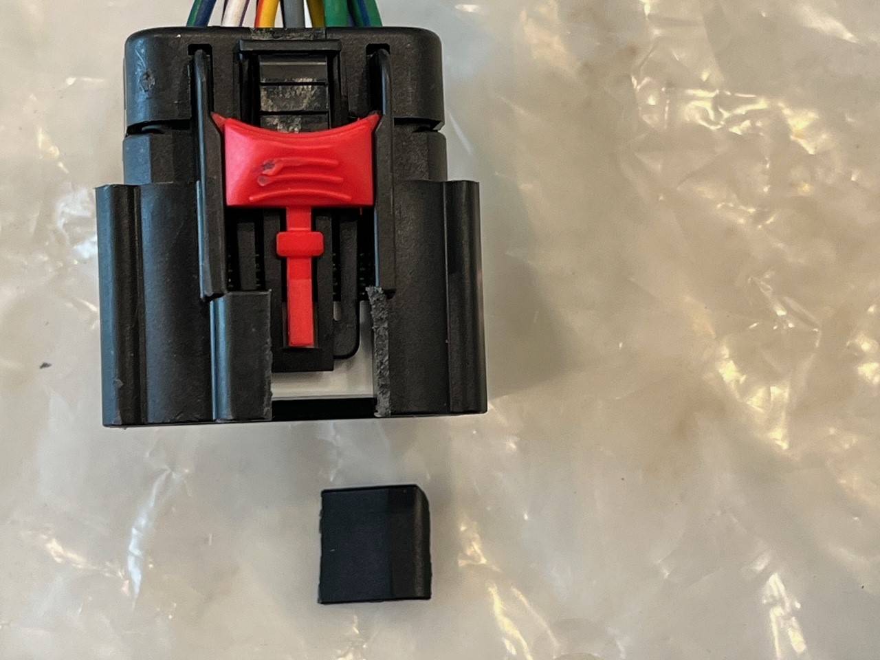 Harness 3.jpg