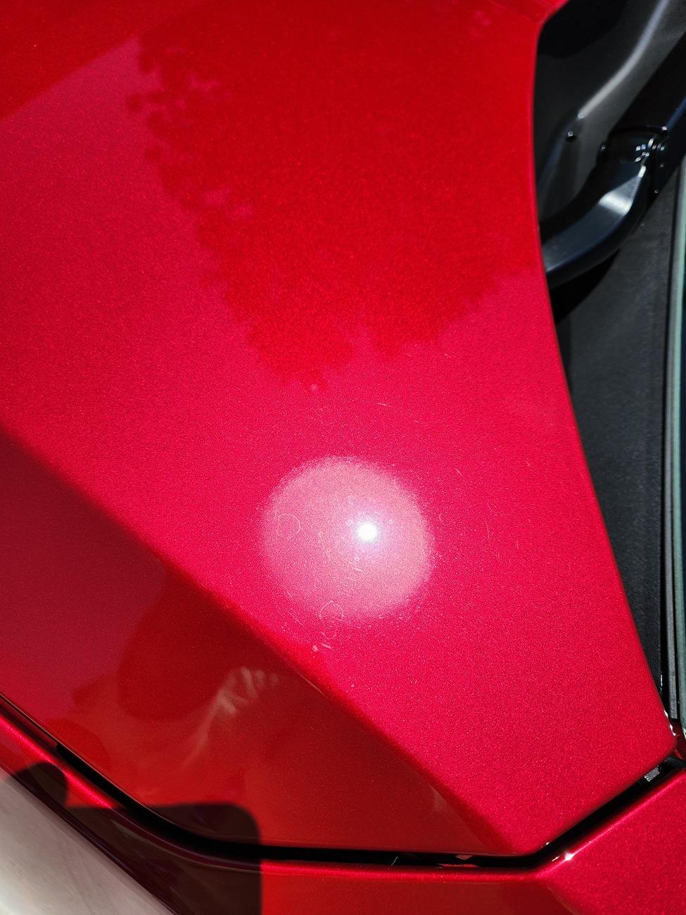 S650 Mustang Paint Issue Hood paint