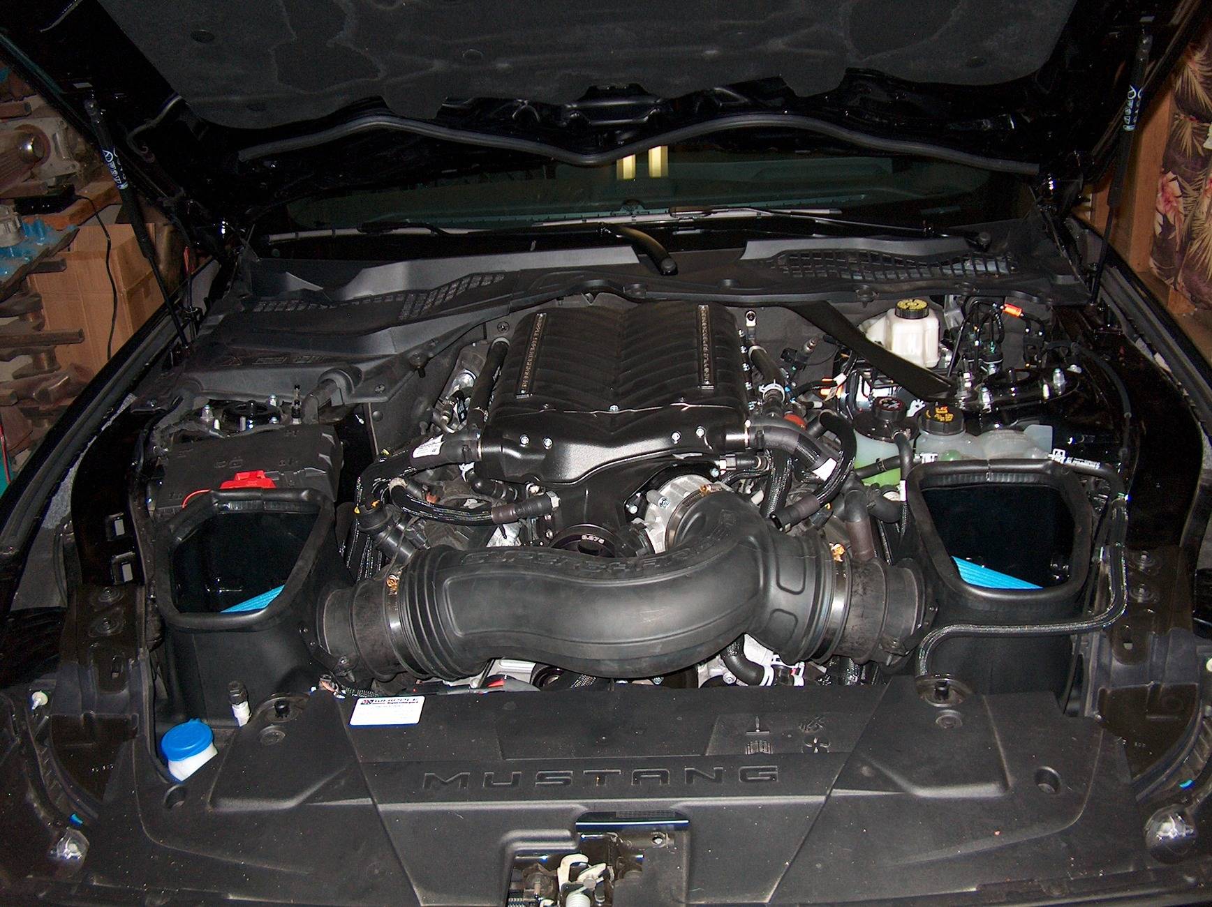 S650 Mustang Boss Mustang S650 Maybe Coming Soon (via January 2025 Trademark Filing) HPIM3020.JPG