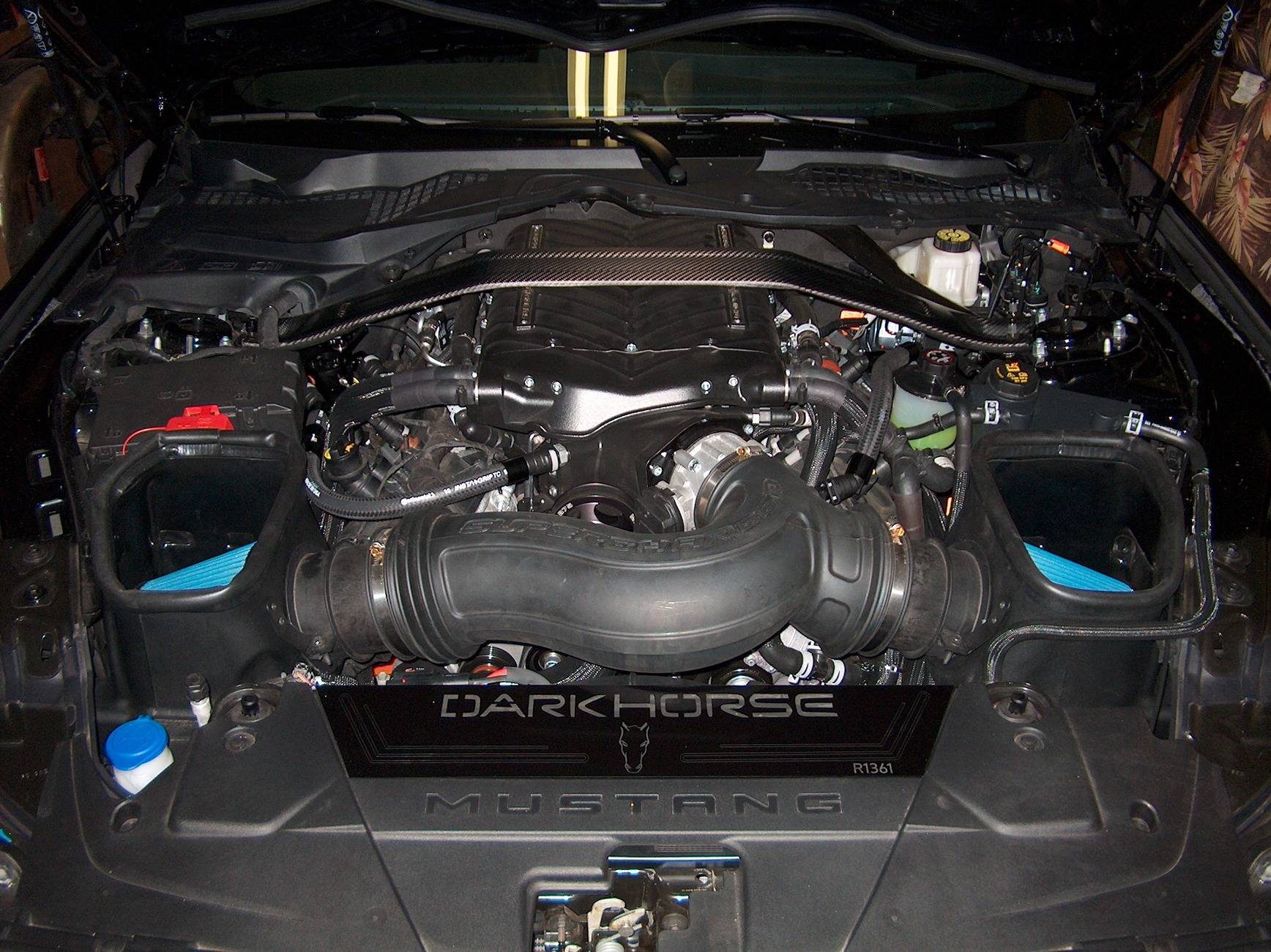 S650 Mustang Engine dress up. Is it too much? HPIM3084.JPG