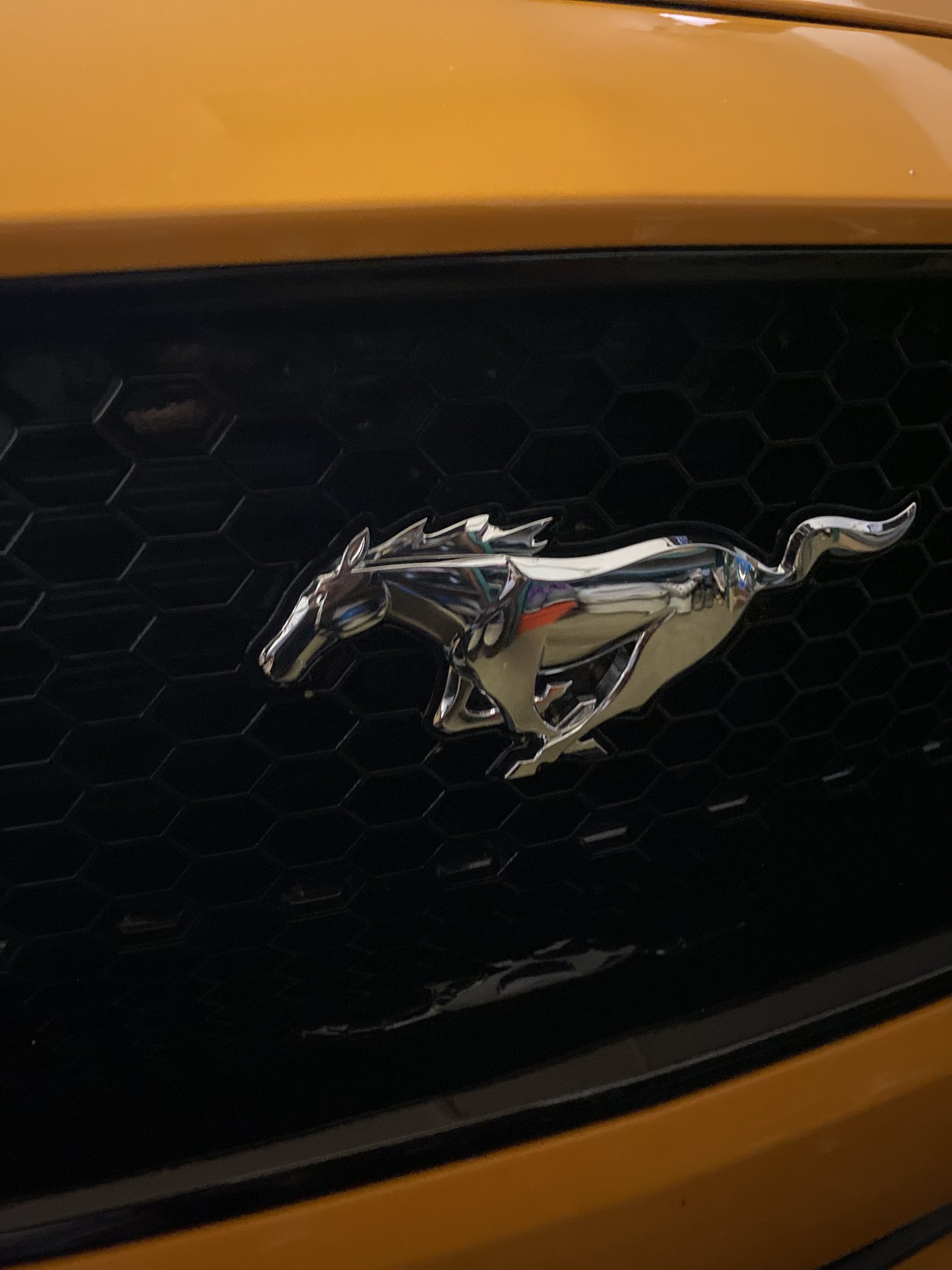 S650 Mustang Test image