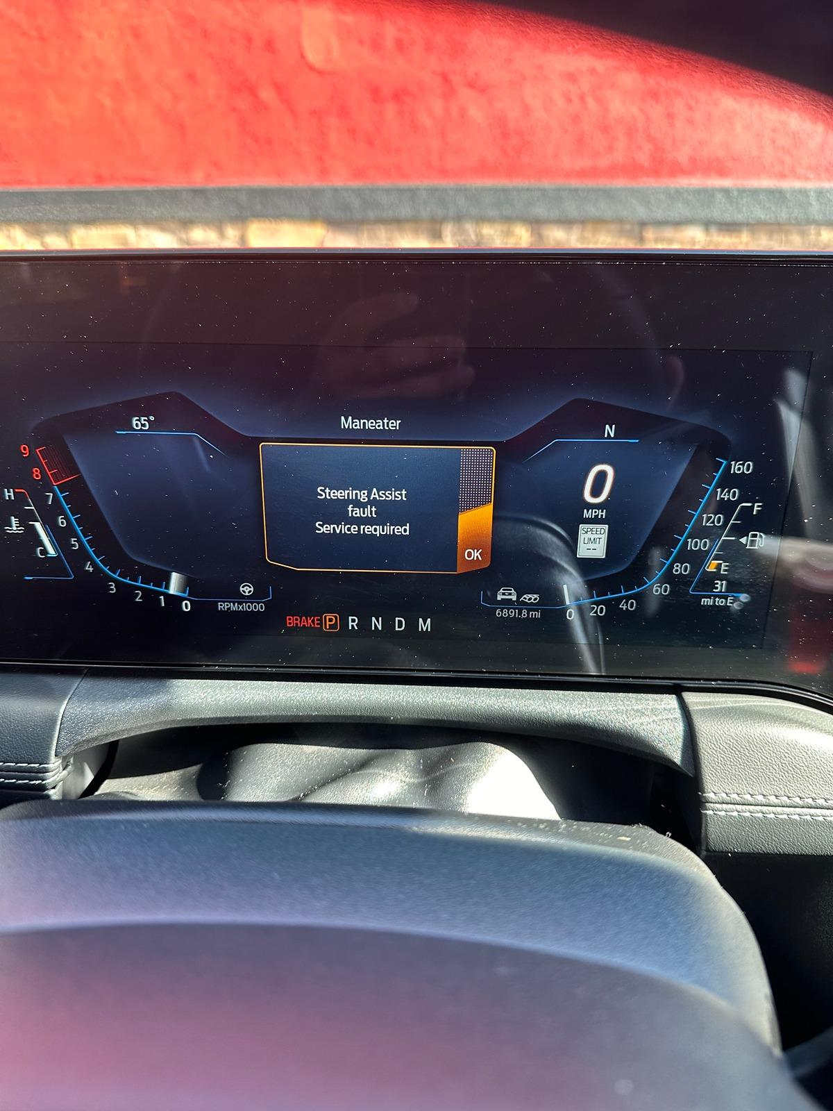 S650 Mustang Steering Assist Fault - Service required Image