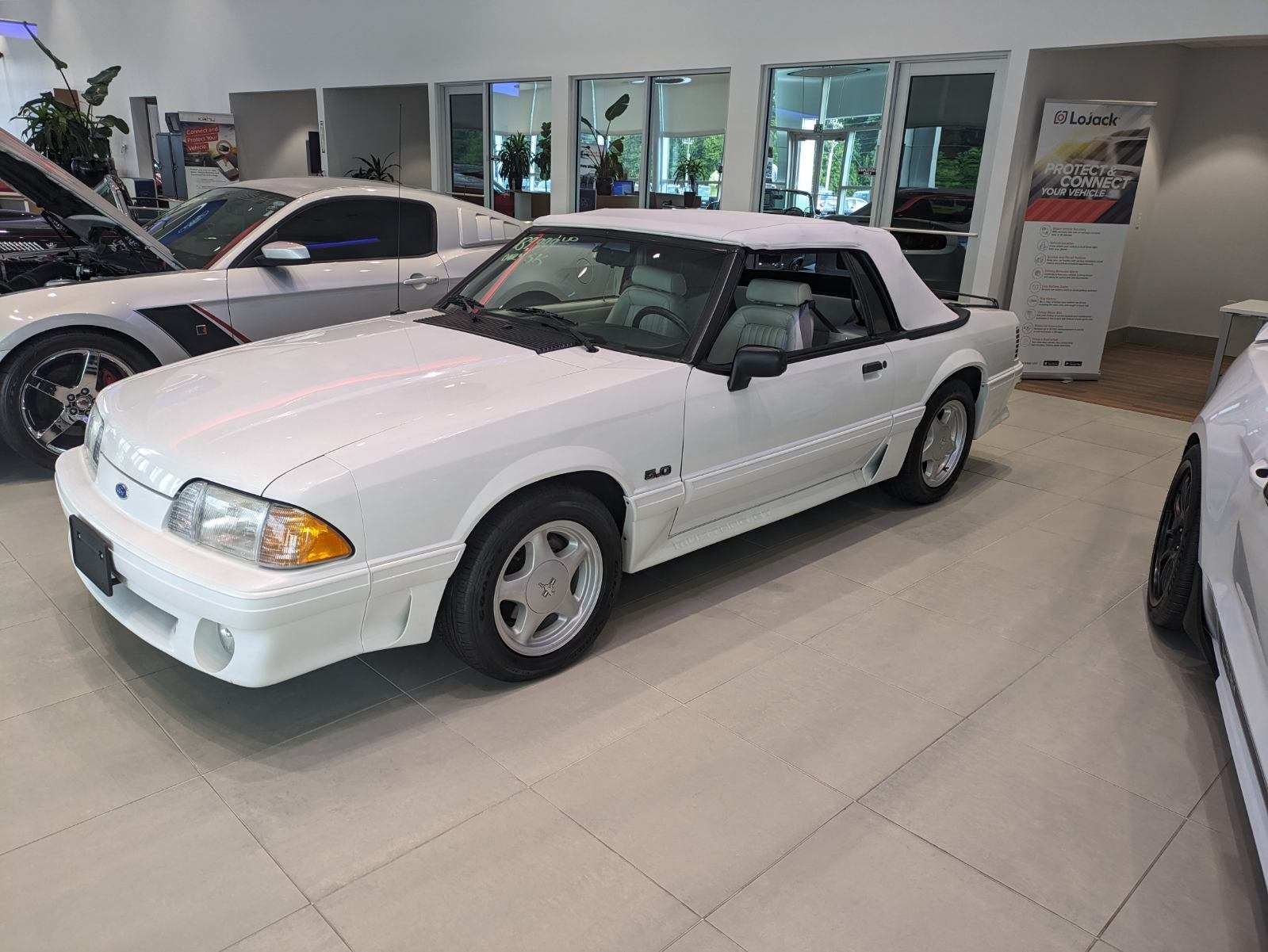 S650 Mustang Check out these older mustangs at our local dealer. I was looking at these the other day image000004