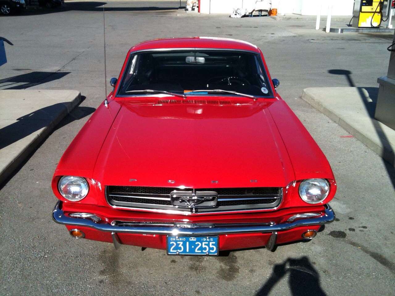 S650 Mustang Post Pictures of Your Car ImageUploadedByTapatalk1395267556.725635