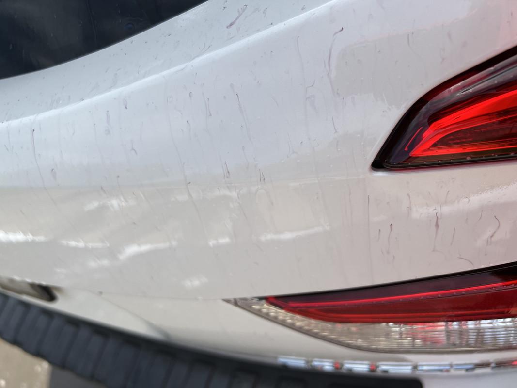 S650 Mustang DIY'ers Spray Clay IMG-0539