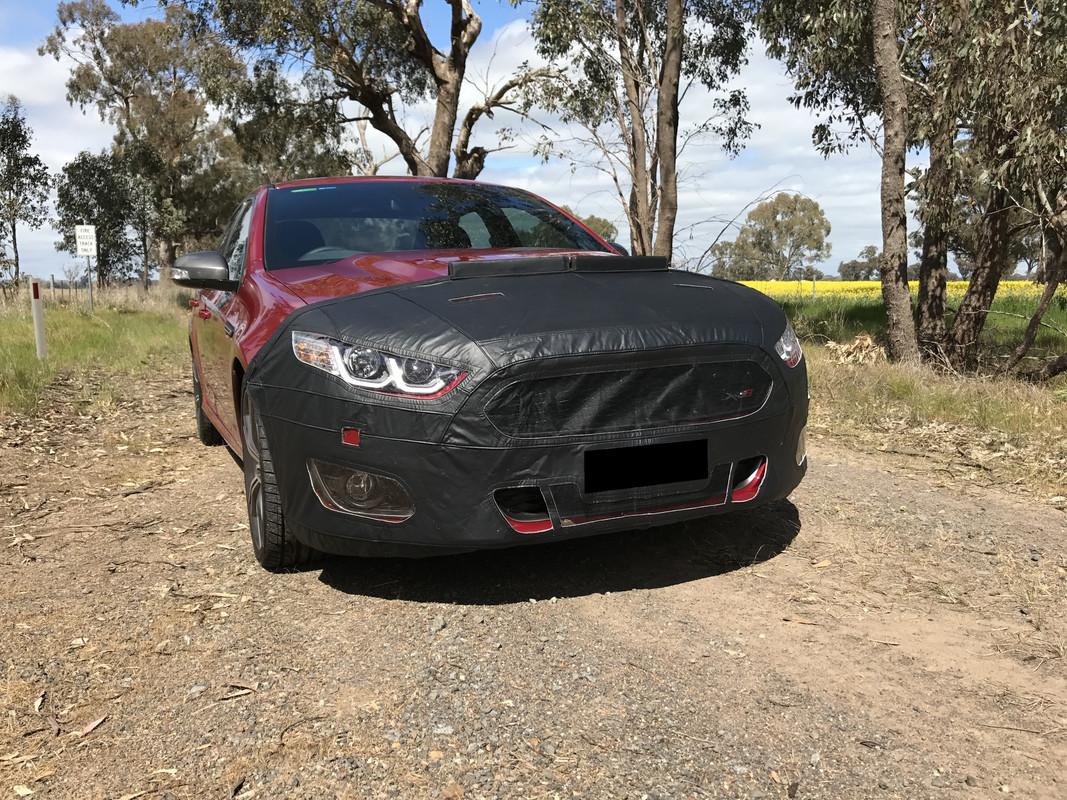 S650 Mustang Options for protecting against stone chips on S650's IMG-0725