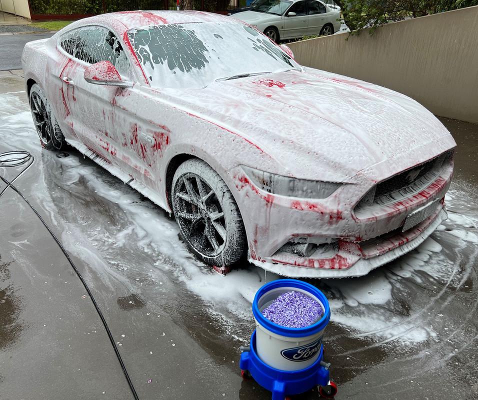 S650 Mustang Foam Cannons IMG-1166