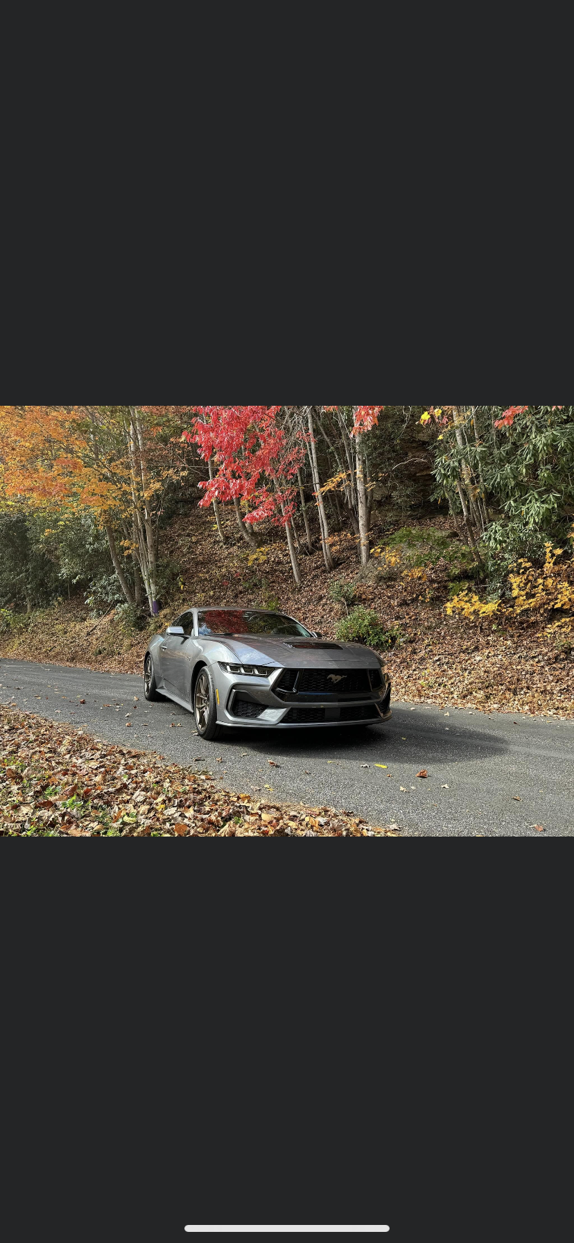 S650 Mustang Official CARBONIZED GRAY Mustang S650 Thread IMG-1346.PNG