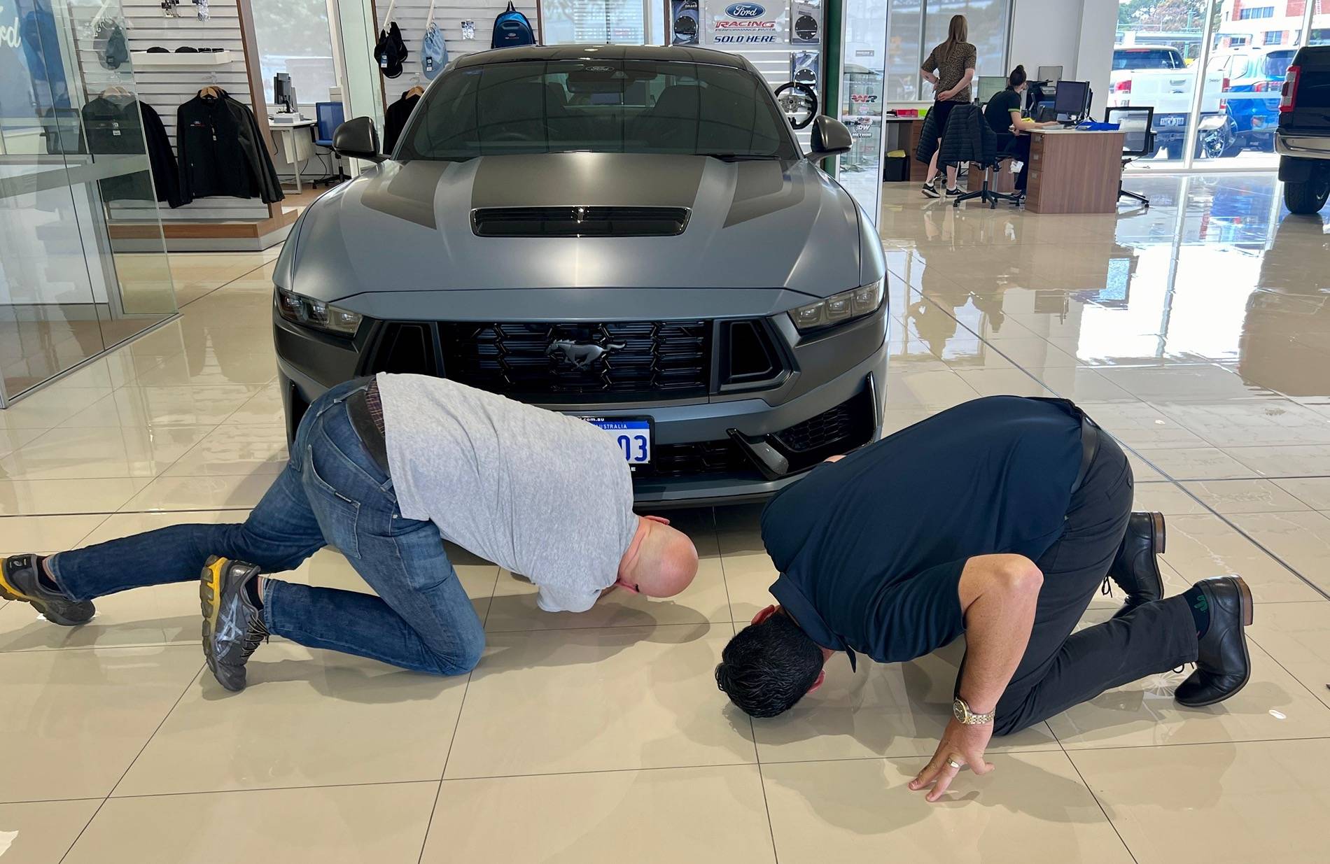 S650 Mustang Blue ember or vapor blue helppppp!!!!!!!! IMG-20241115-WA0005