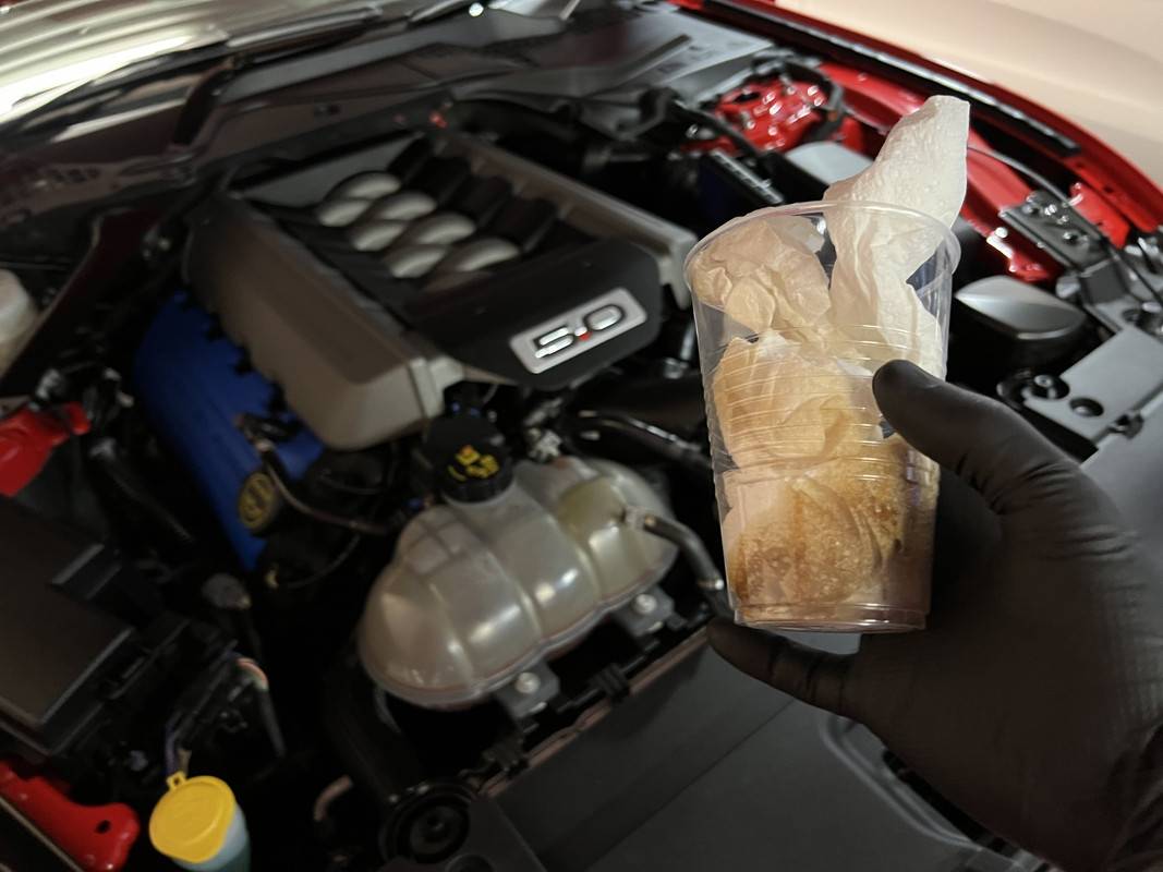 S650 Mustang Oil Air Separator Install IMG-2970