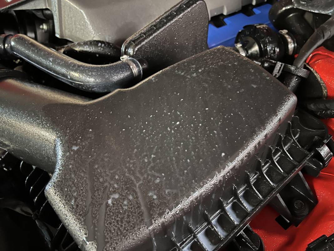 S650 Mustang Favourite All Purpose Cleaner for Engine Bay? IMG-3103