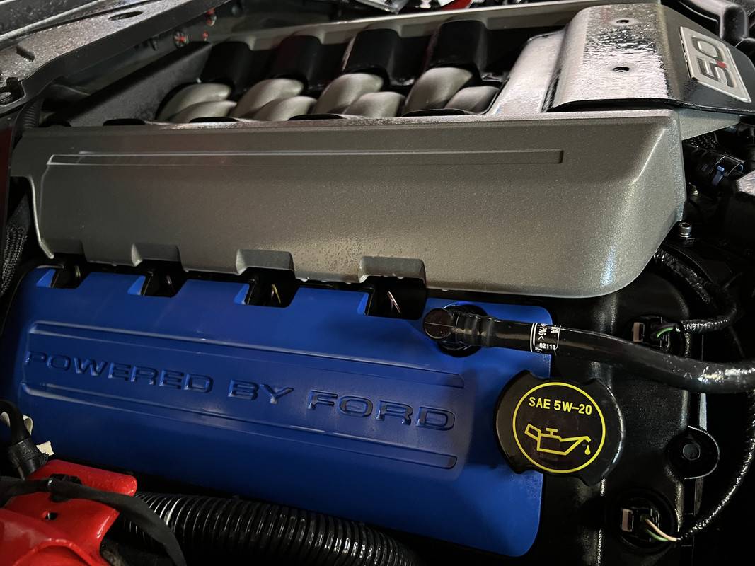 S650 Mustang Aussie S650 Paint protection and detailing thread IMG-3104