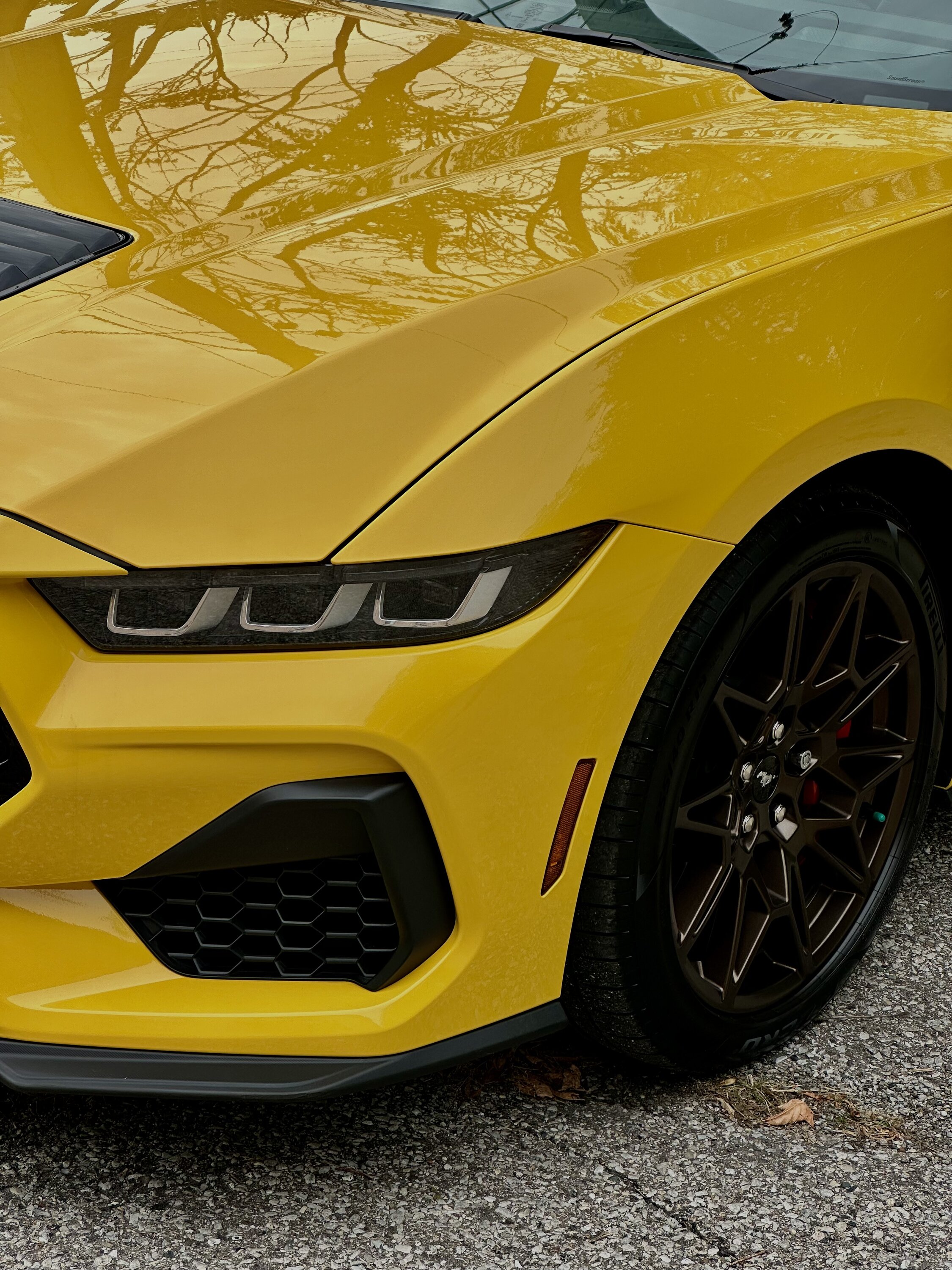 S650 Mustang Official YELLOW SPLASH Mustang S650 Thread IMG-3748