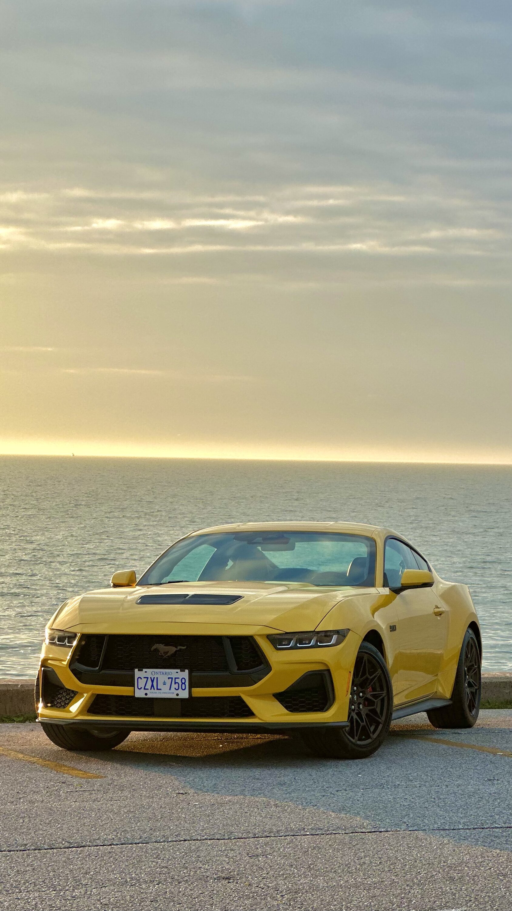 S650 Mustang Picked her up and my first shoot - Yellow Splash w/ BAP 2024 GT IMG-3787