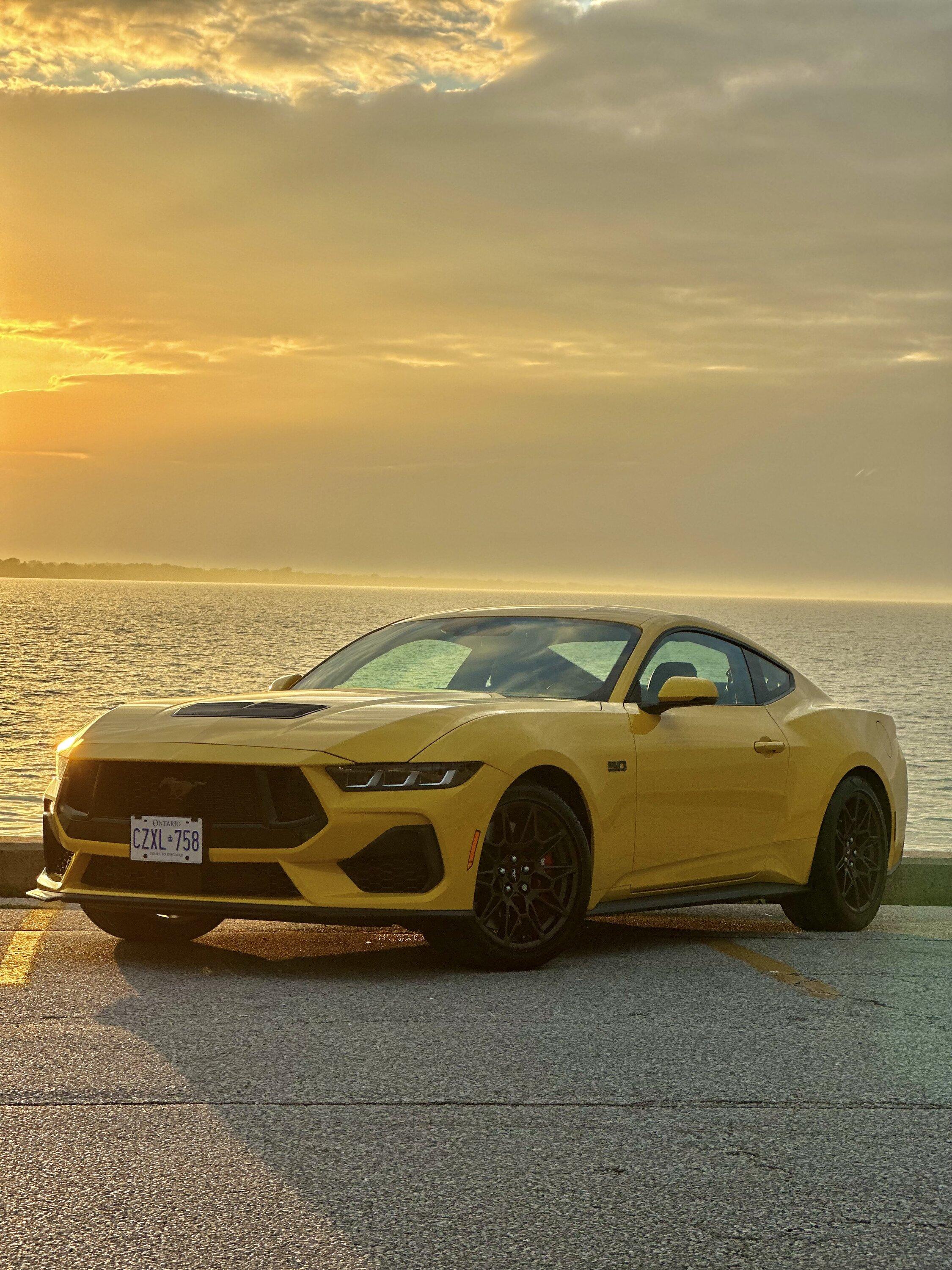 S650 Mustang Official YELLOW SPLASH Mustang S650 Thread IMG-3798