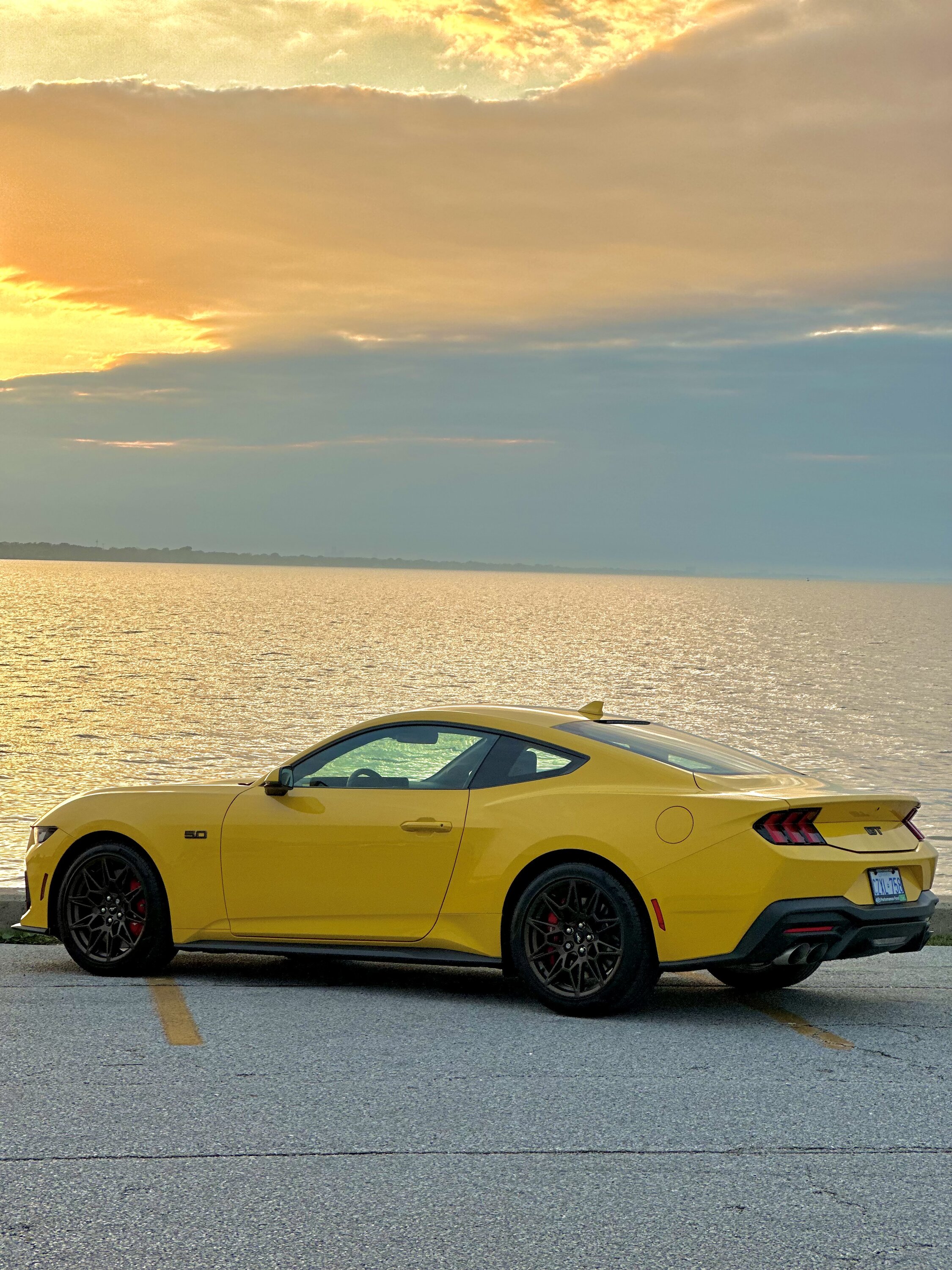 S650 Mustang Picked her up and my first shoot - Yellow Splash w/ BAP 2024 GT IMG-3811