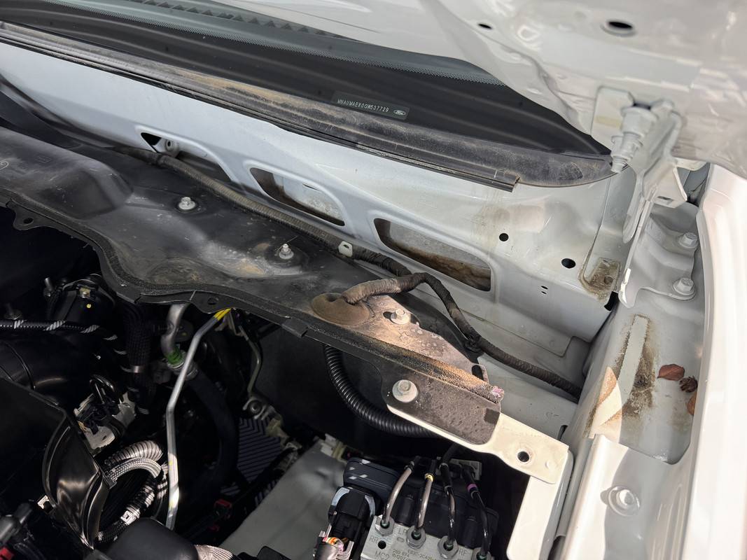 S650 Mustang DFB's Detailing Garage IMG-5436