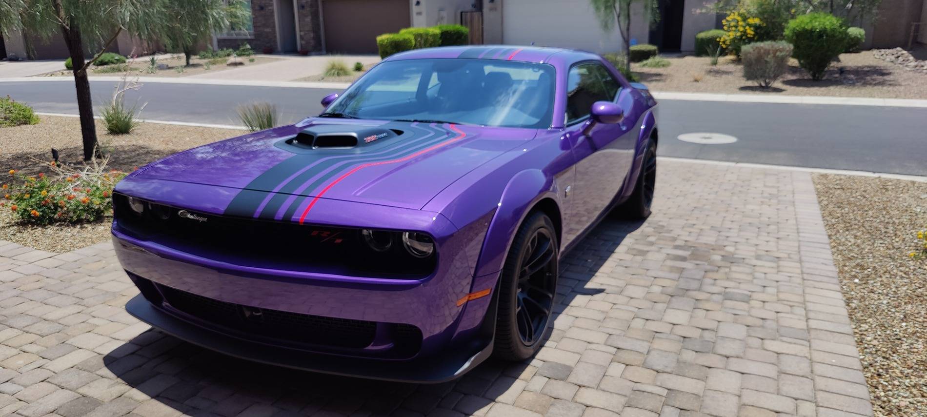 S650 Mustang Recommendations for hood striping in Phoenix Area IMG20230626131055