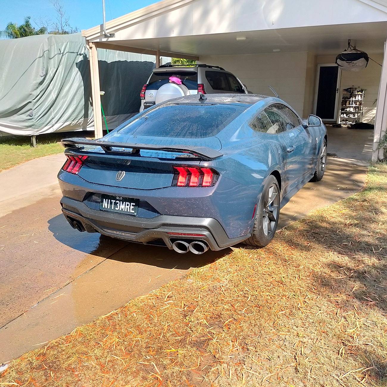 S650 Mustang Nice Rear End (Picture Thread) IMG20241030084206