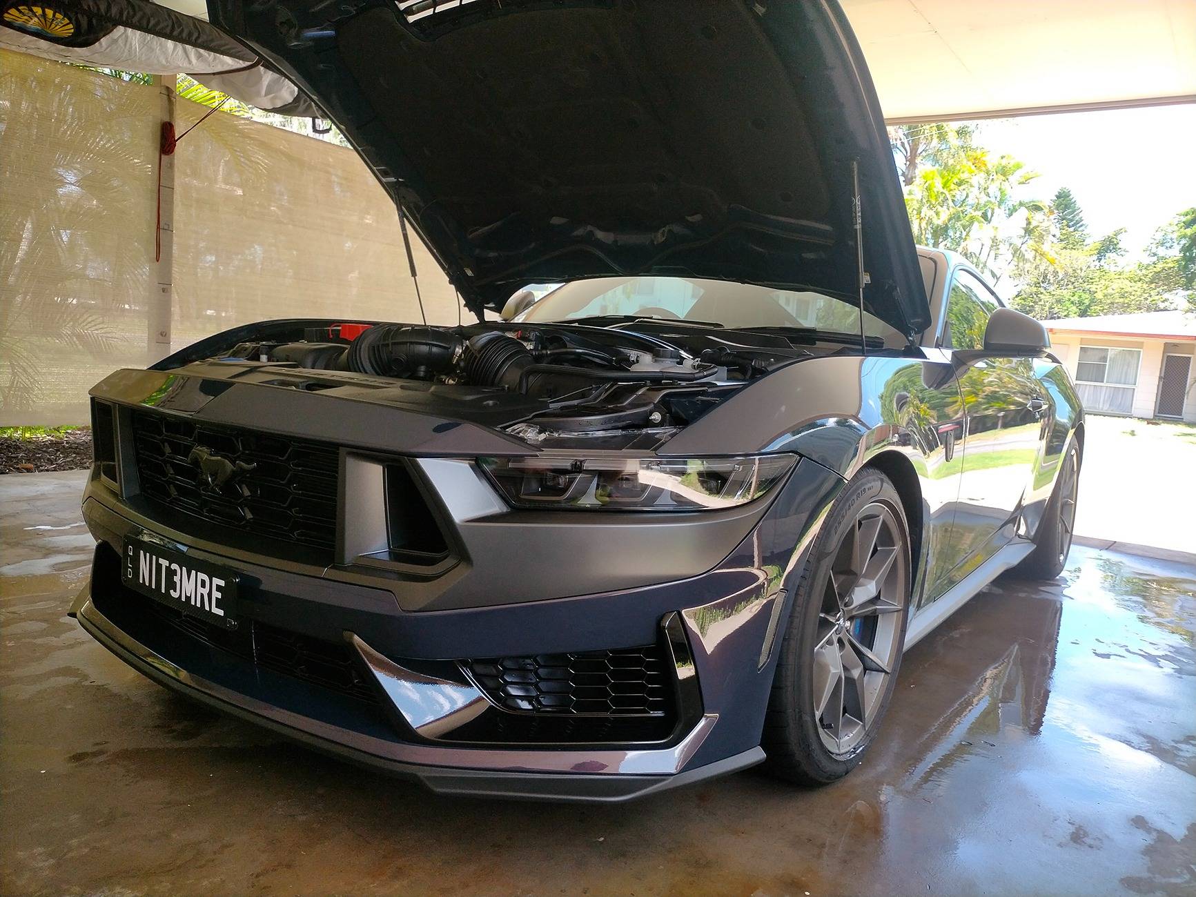 S650 Mustang PPF Over Existing Rock Chips? IMG20250113132352