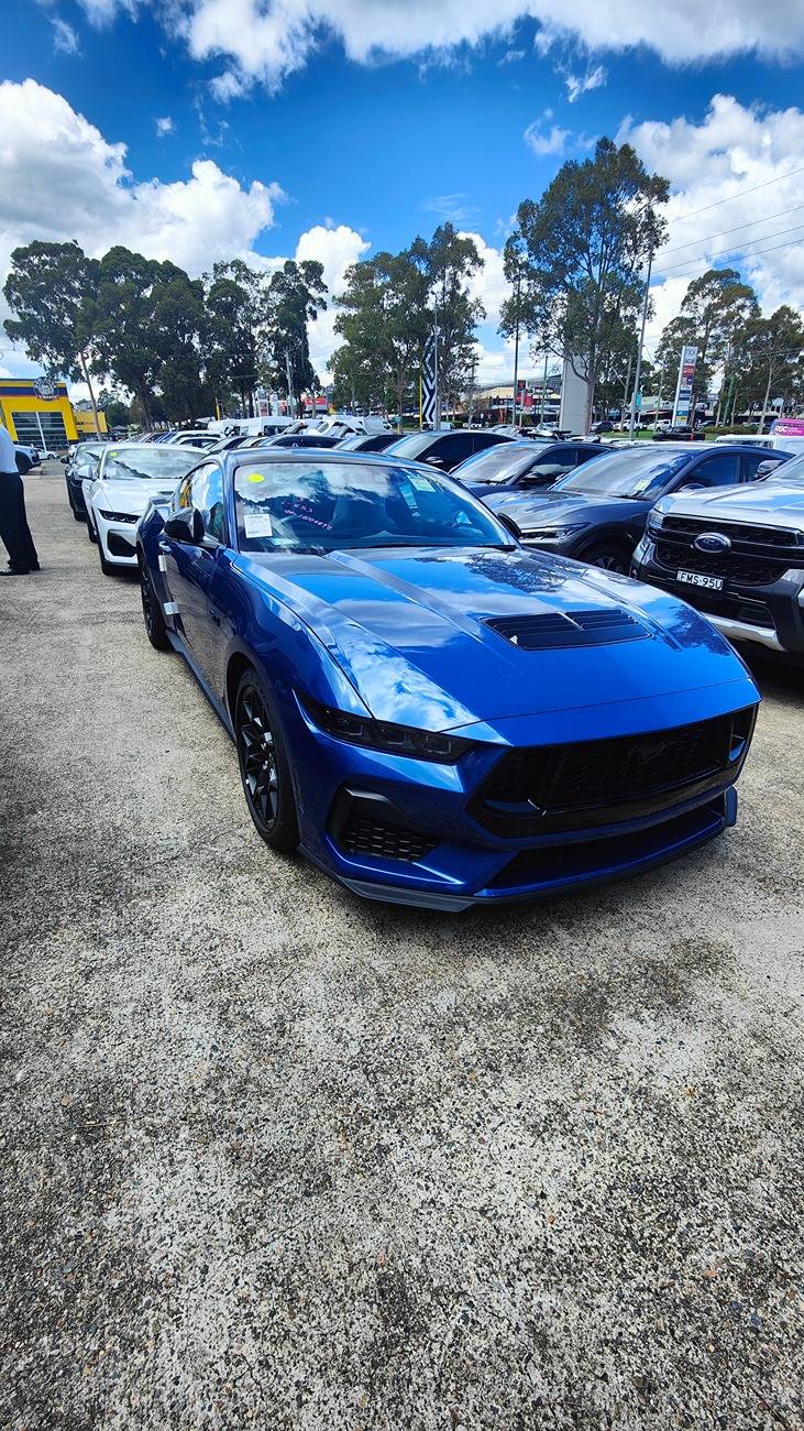 S650 Mustang Mustang delivery to Australia 2024/2025 (Tortugas / Tosca) IMG20250203113833