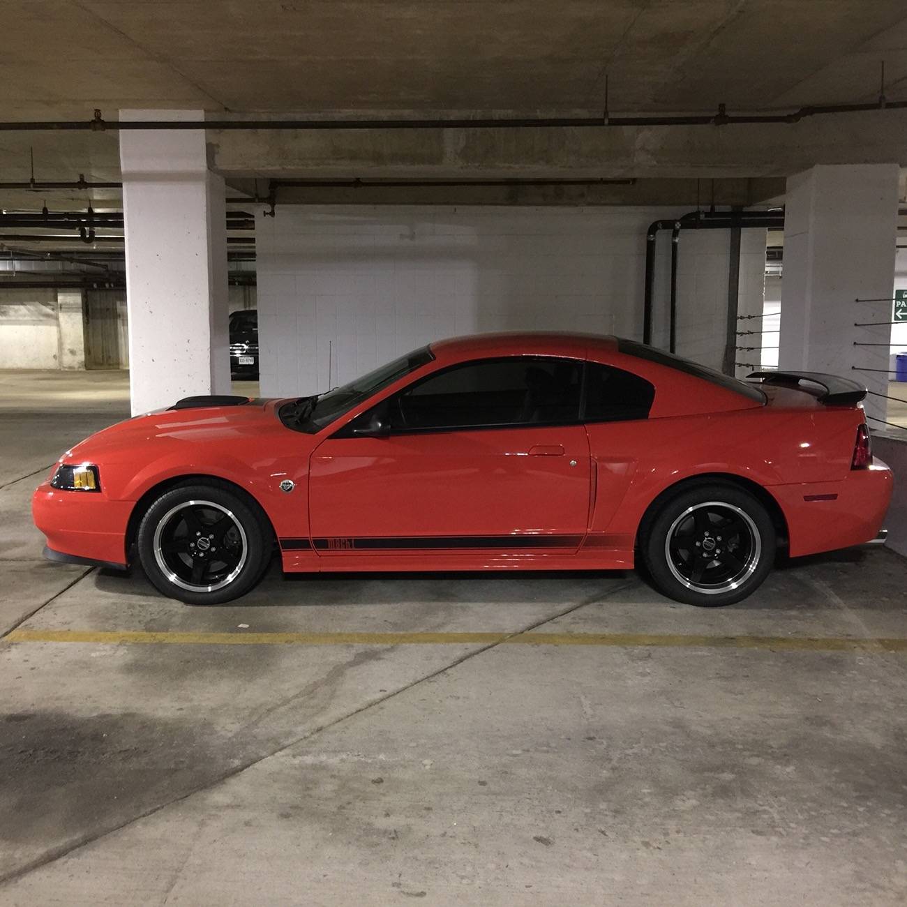 S650 Mustang How many Mustangs have owned? IMG_0003