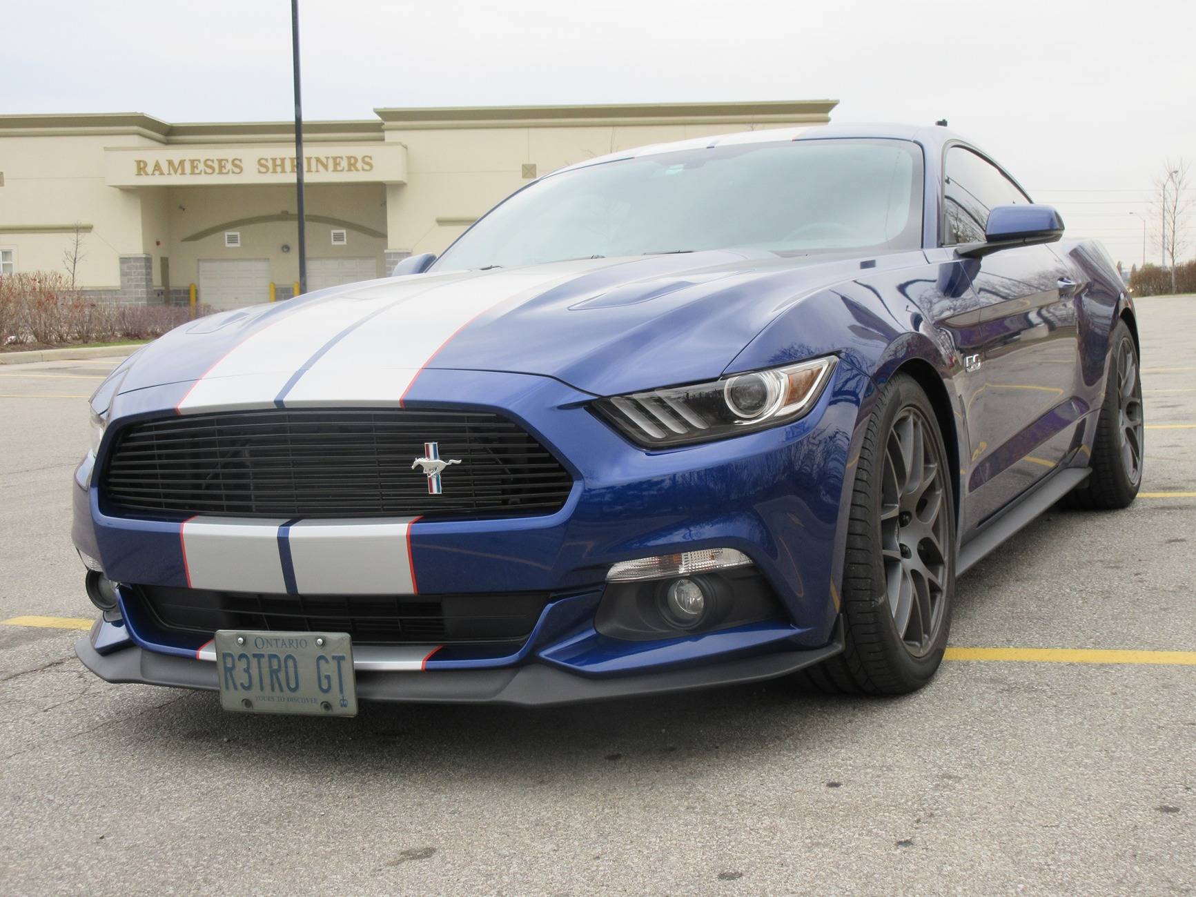 S650 Mustang COYOTE EMBLEM IMG_0030.JPG