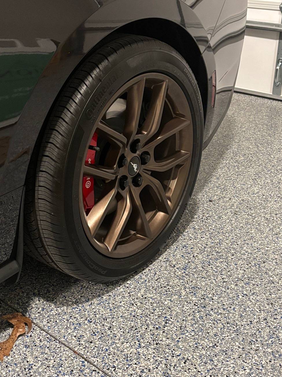 S650 Mustang Introductions & Welcome Thread 👋 IMG_0072