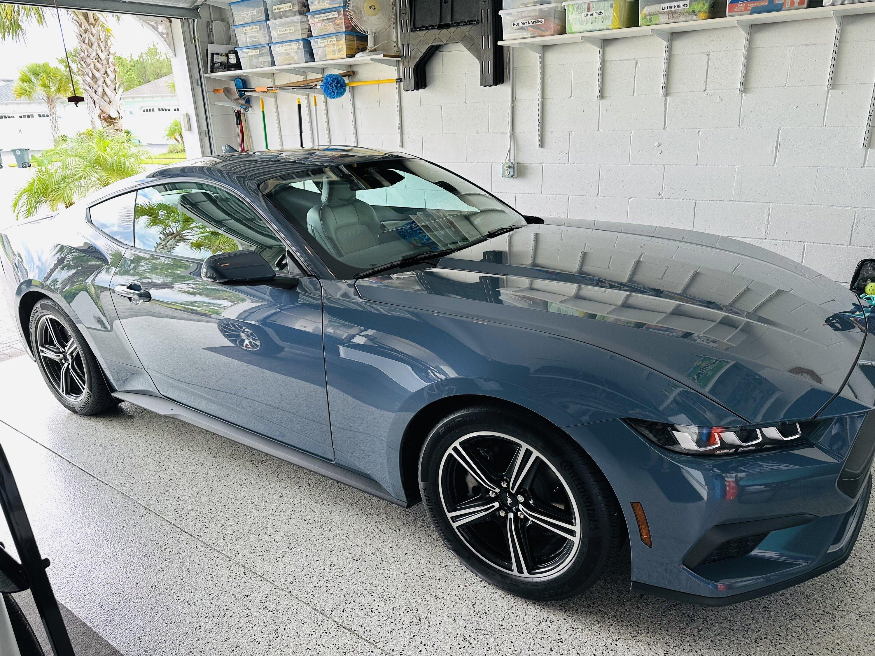 S650 Mustang My Pony has finally come HOME! IMG_0080