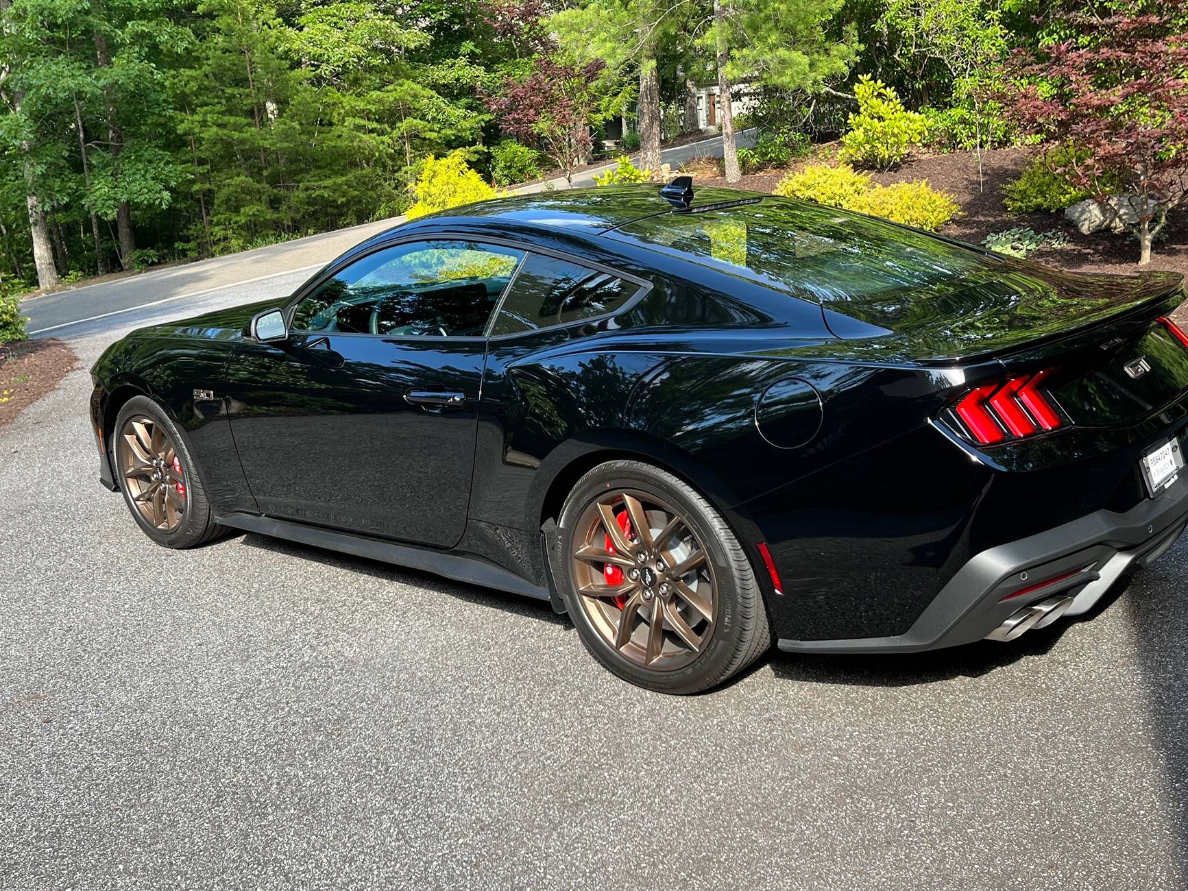S650 Mustang Sliver or black rims for carbonized grey IMG_0083
